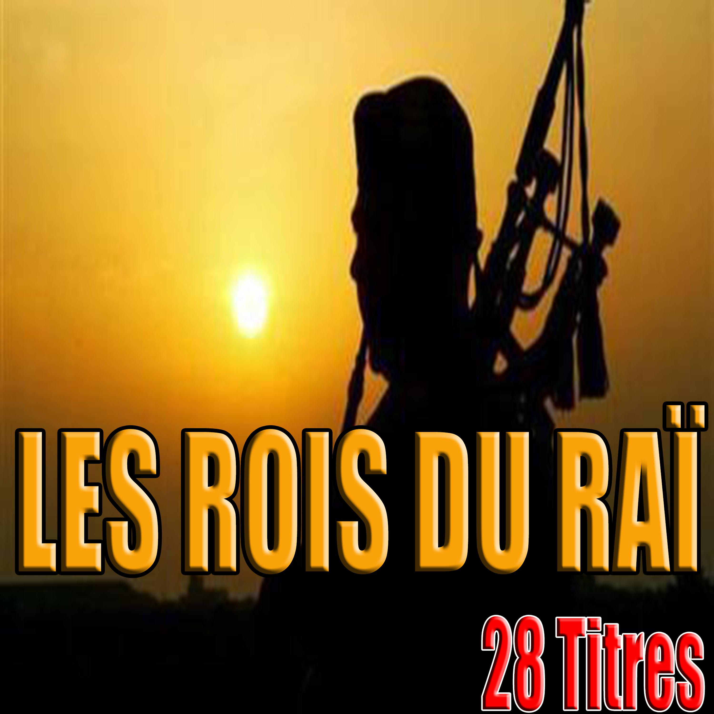 Постер альбома Les Rois du Raï, 28 titres