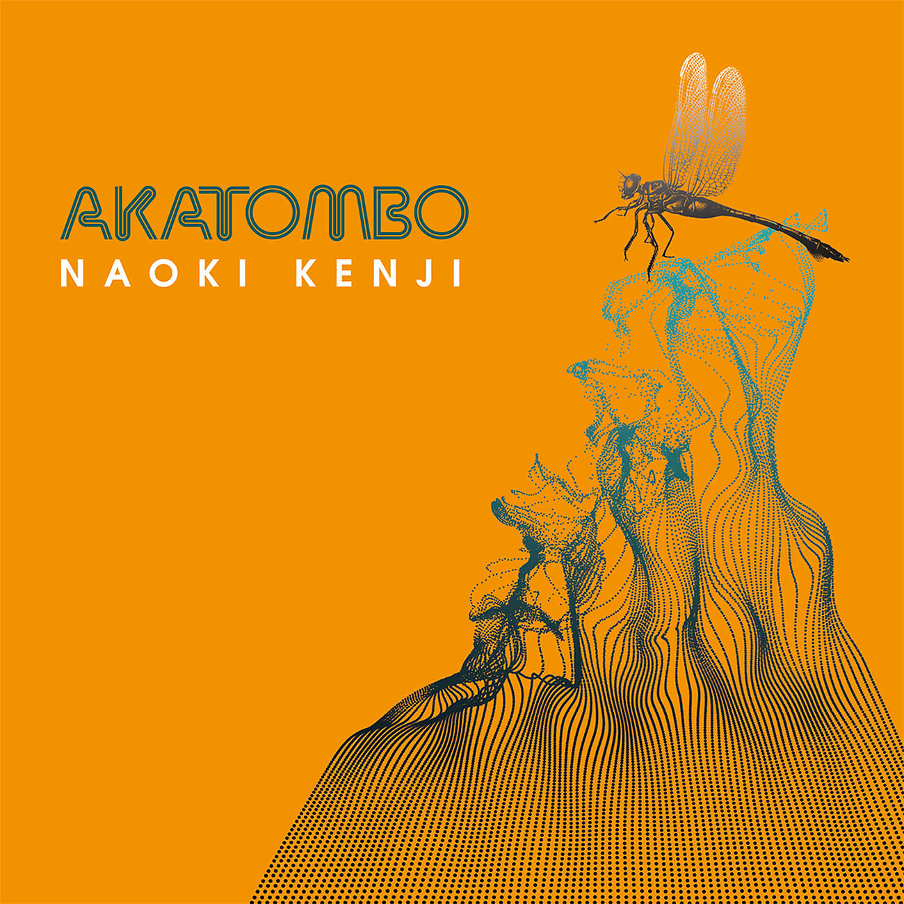 Naoki Kenji - Ce nuage