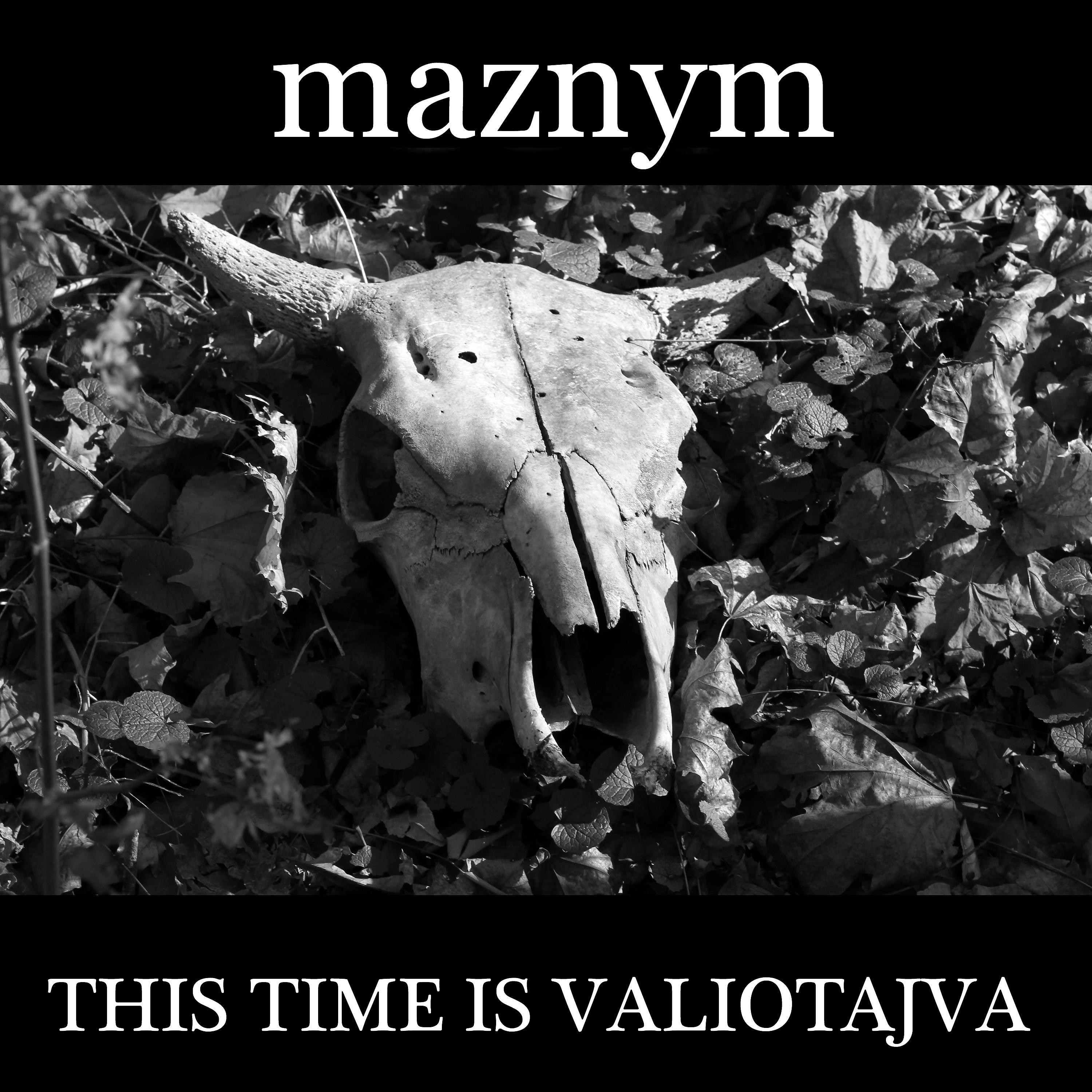 Постер альбома This Time Is Valiotajava