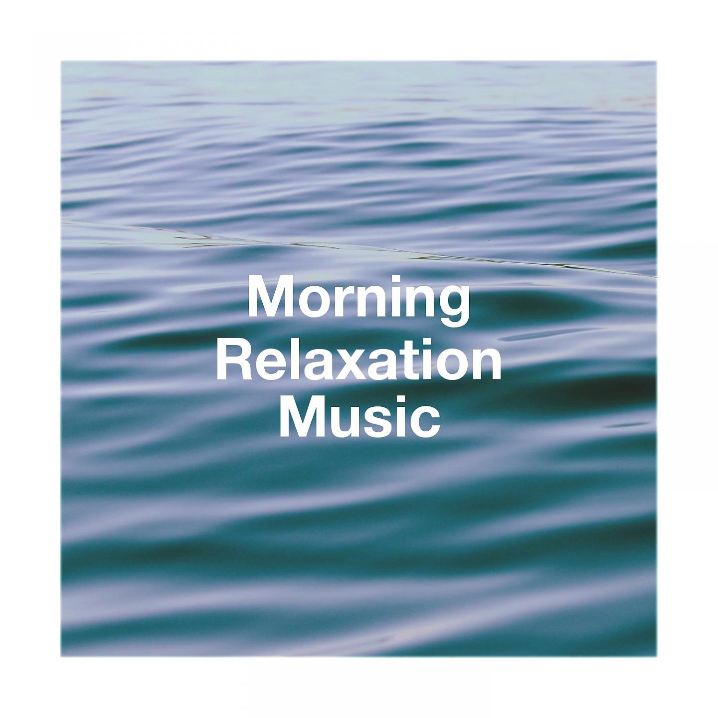 Постер альбома Morning Relaxation Music