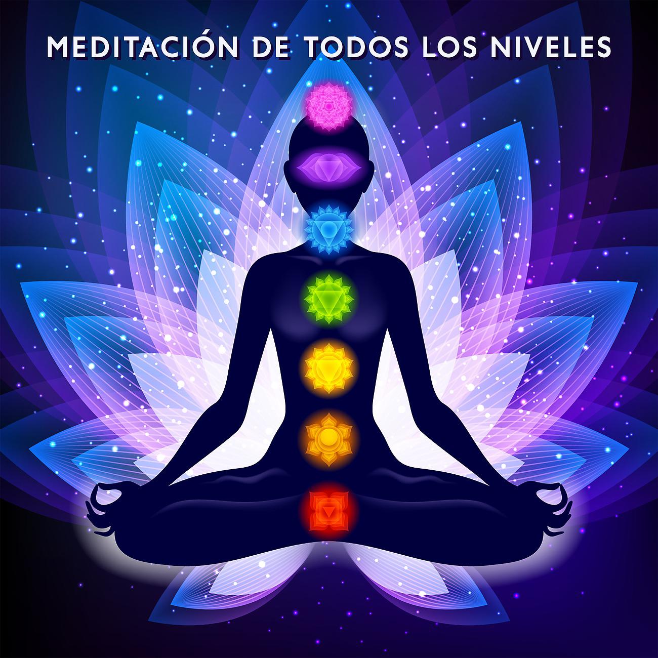 Постер альбома Meditación de Todos los Niveles