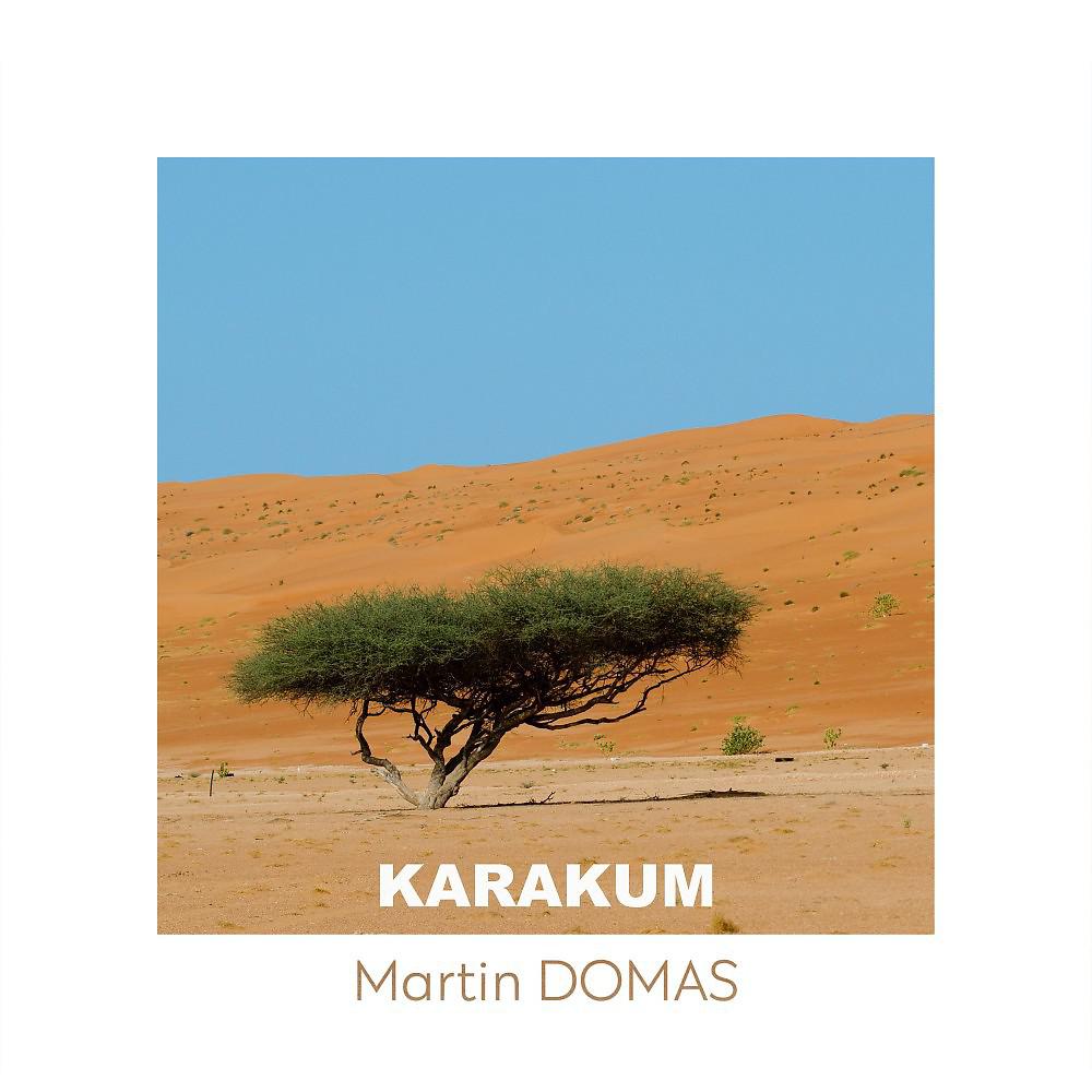 Постер альбома Karakum