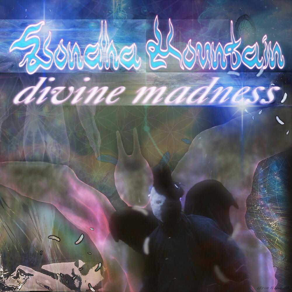 Постер альбома Divine Madness