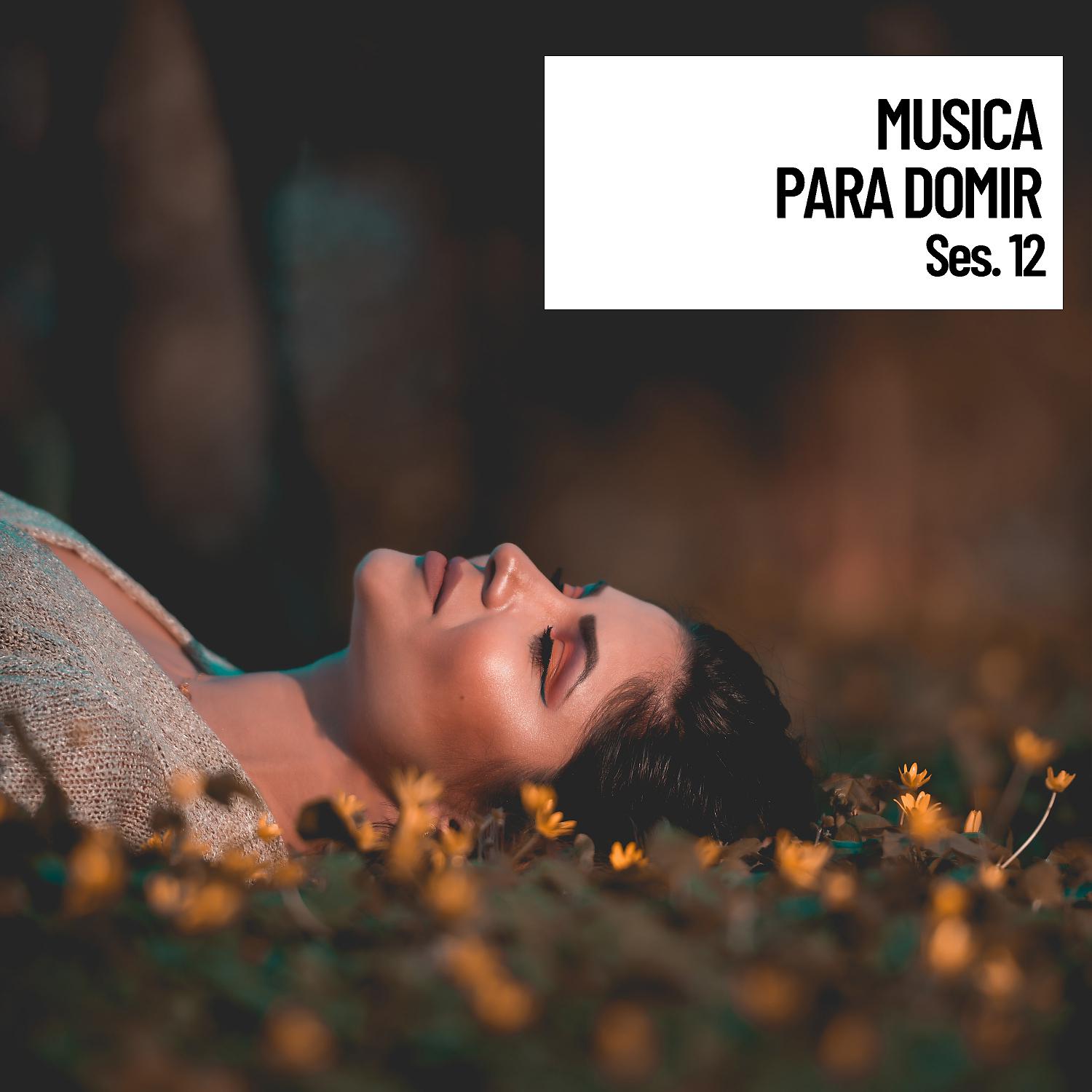 Постер альбома Musica para domir, relajantes sonidos y musica sesion 12