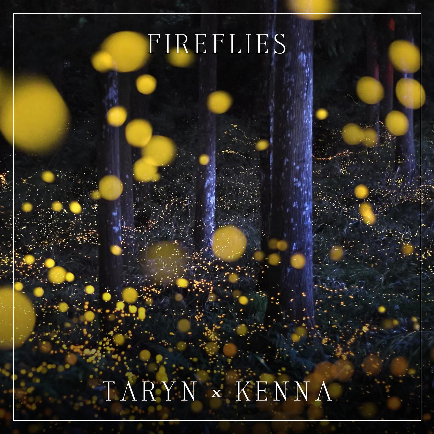 Постер альбома Fireflies (feat. Kenna & TARYN)
