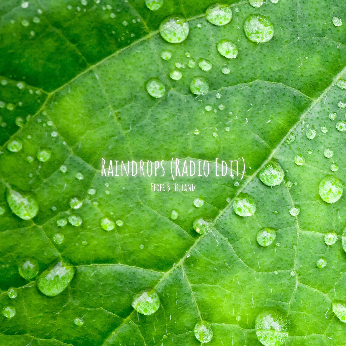 Постер альбома Raindrops (Radio Edit)