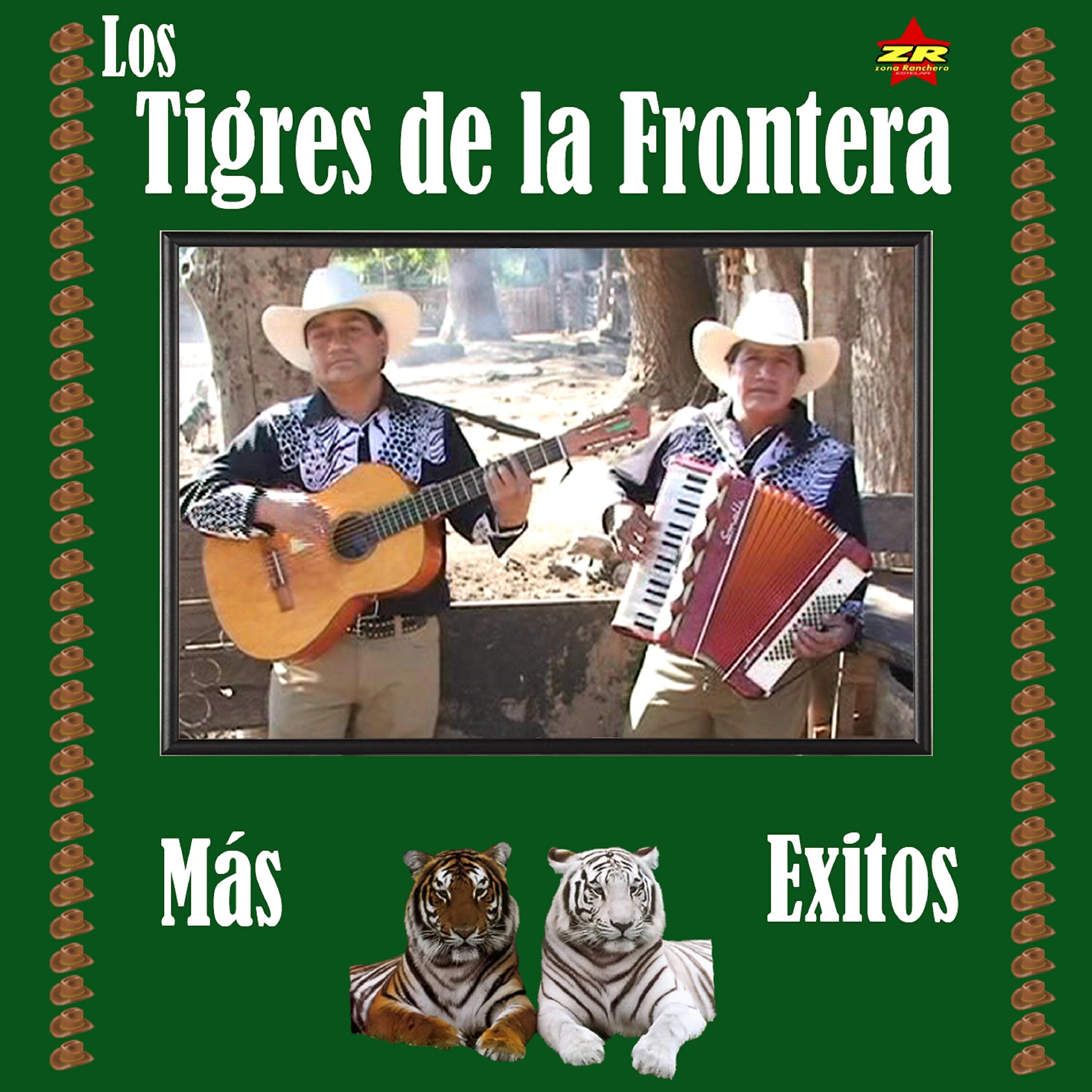 Los Tigres de la Frontera - Bohemio de Afición
