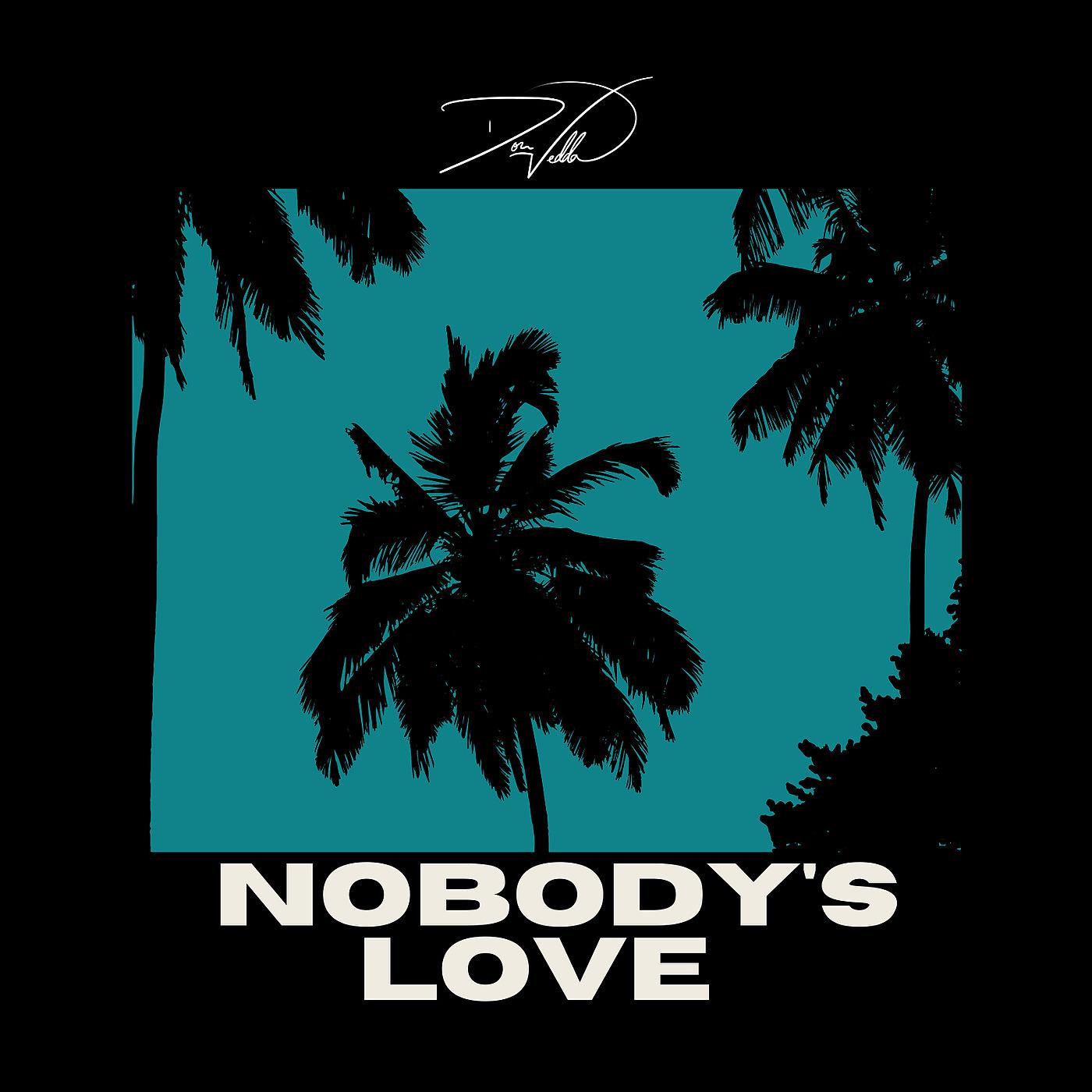 Постер альбома Nobodys Love