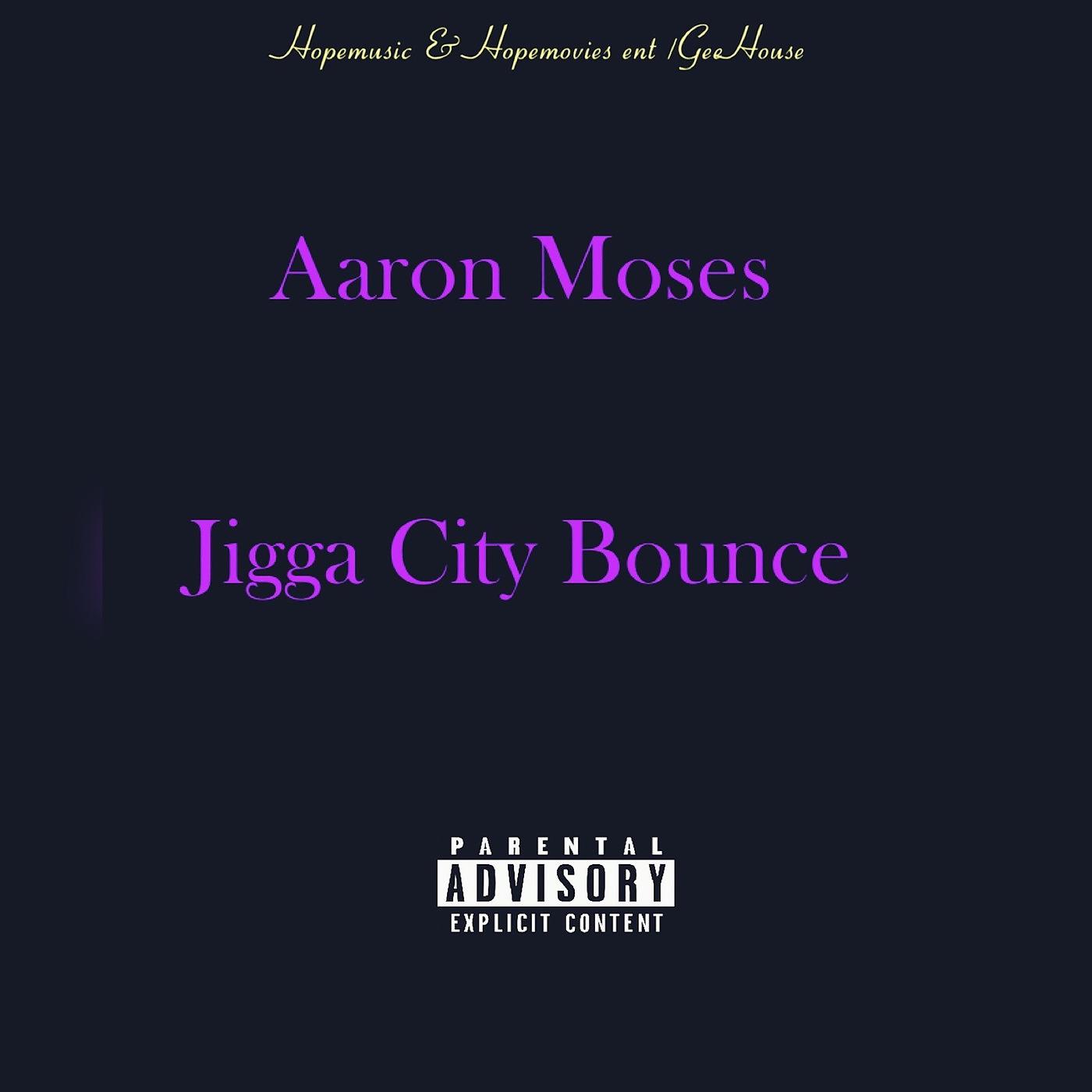 Постер альбома Jigga City Bounce
