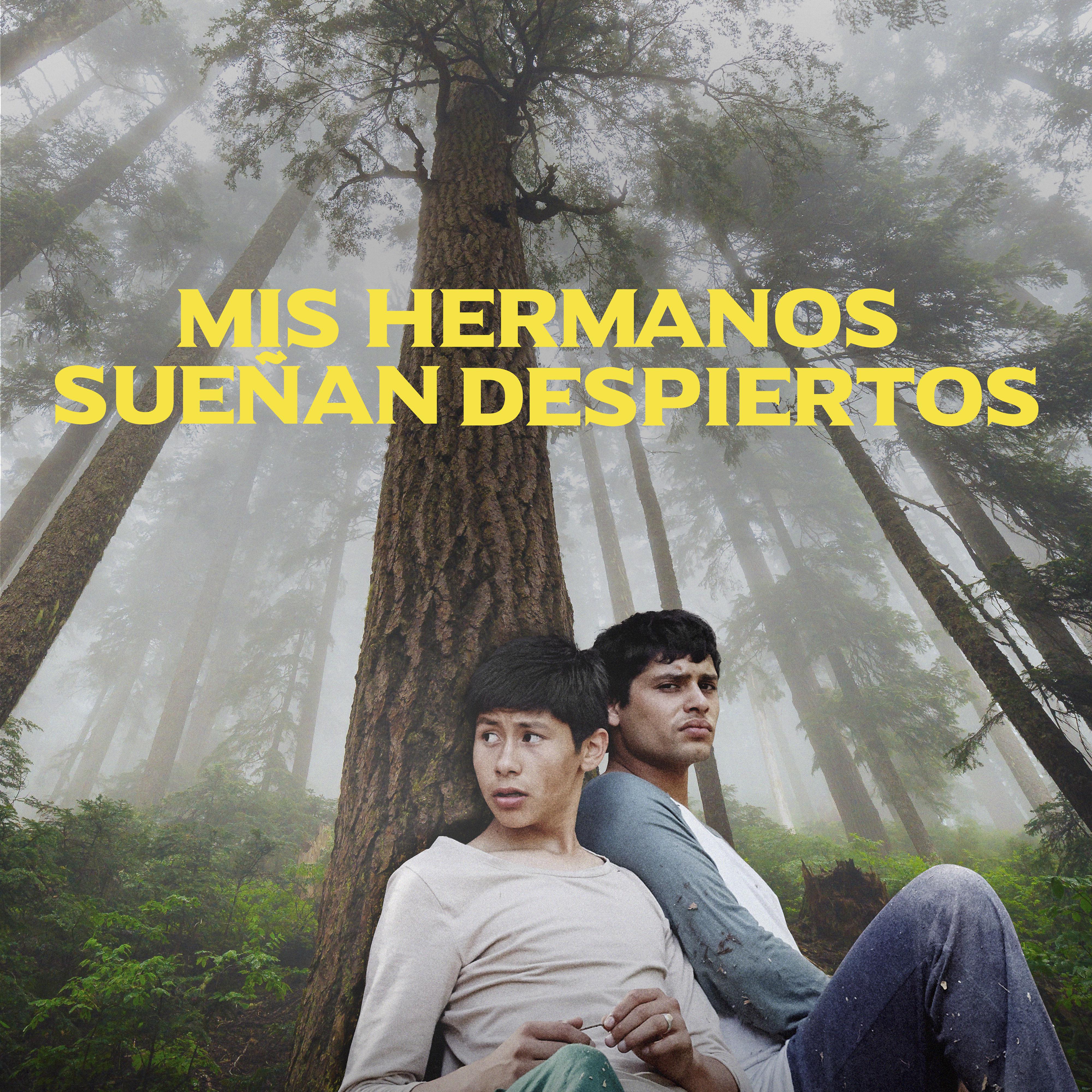 Постер альбома Mis Hermanos Sueñan Despiertos