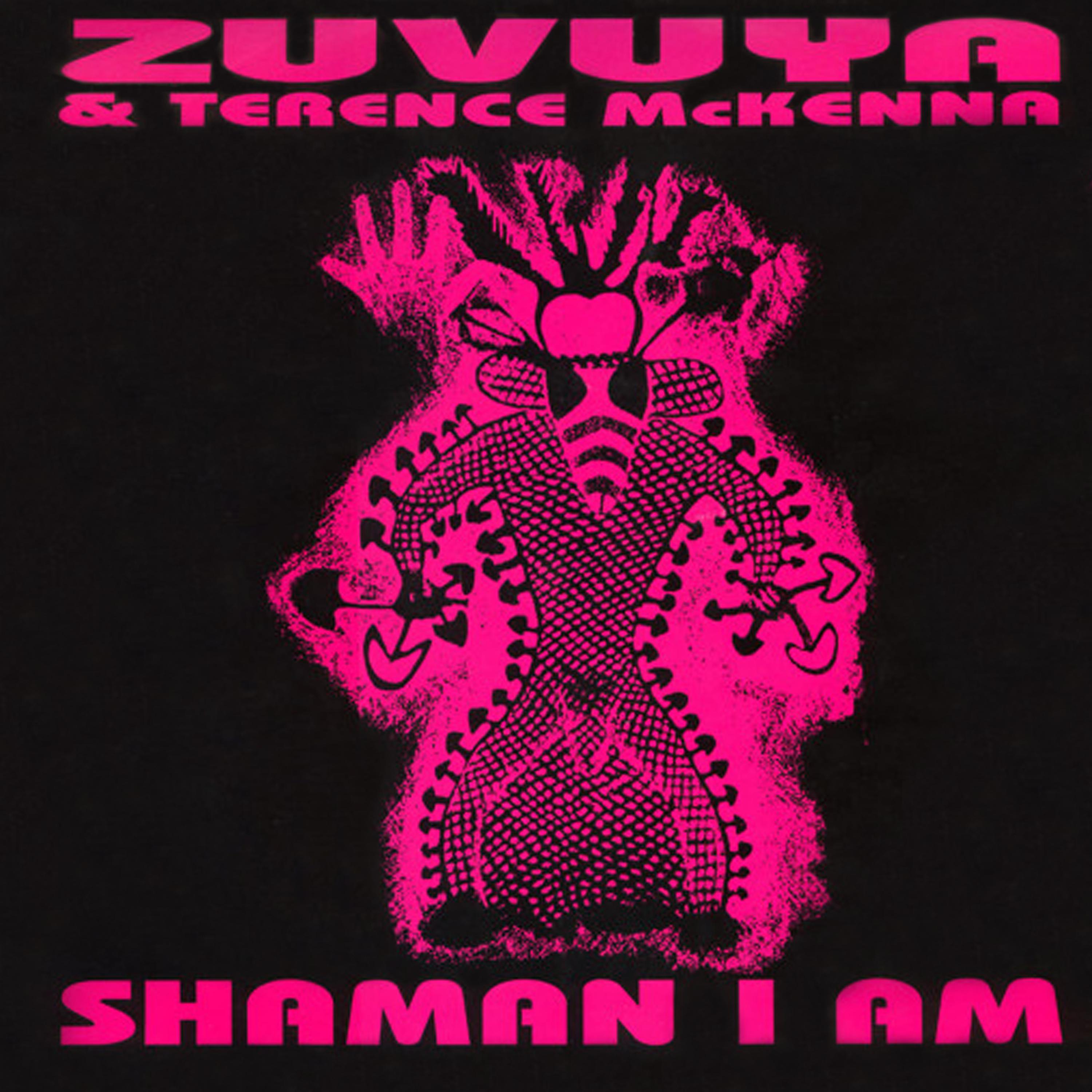 Постер альбома Shaman I Am