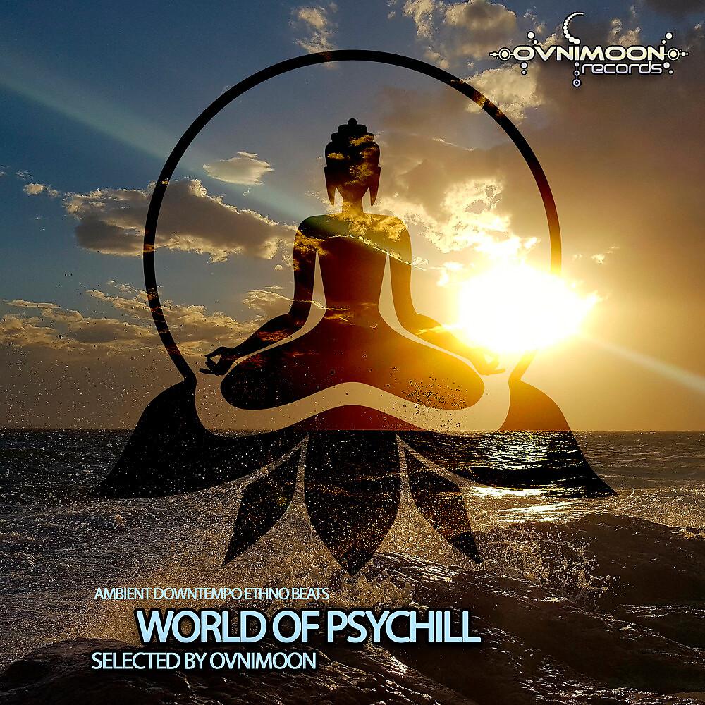 Постер альбома World Of Psychill