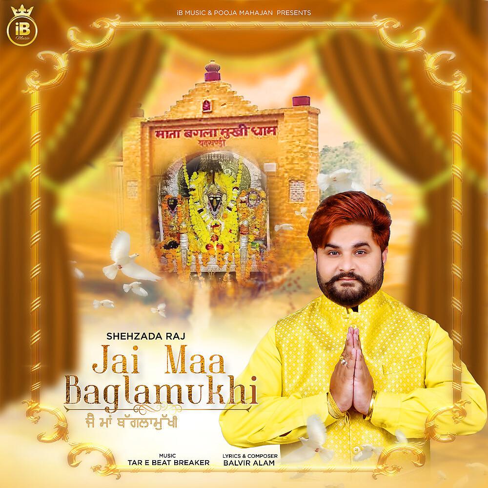 Постер альбома Jai Maa Baglamukhi
