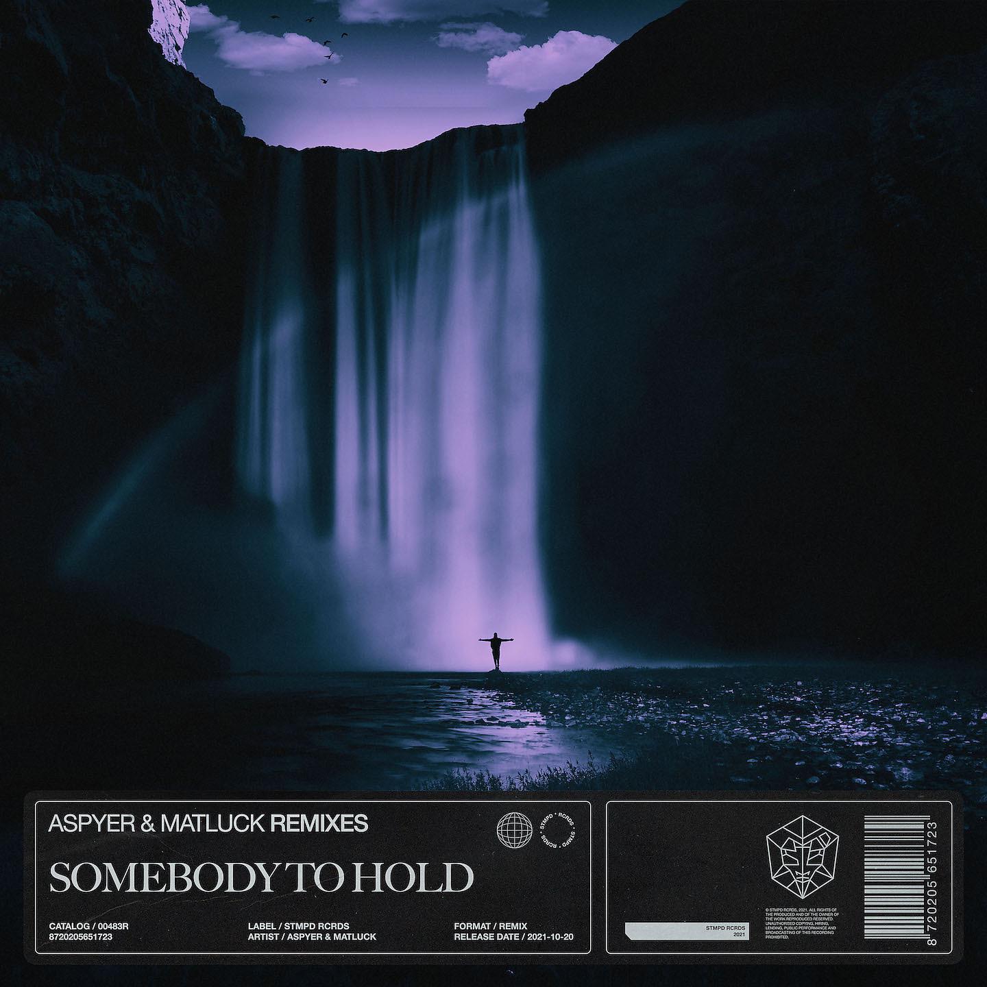 Постер альбома Somebody to Hold (Remixes)