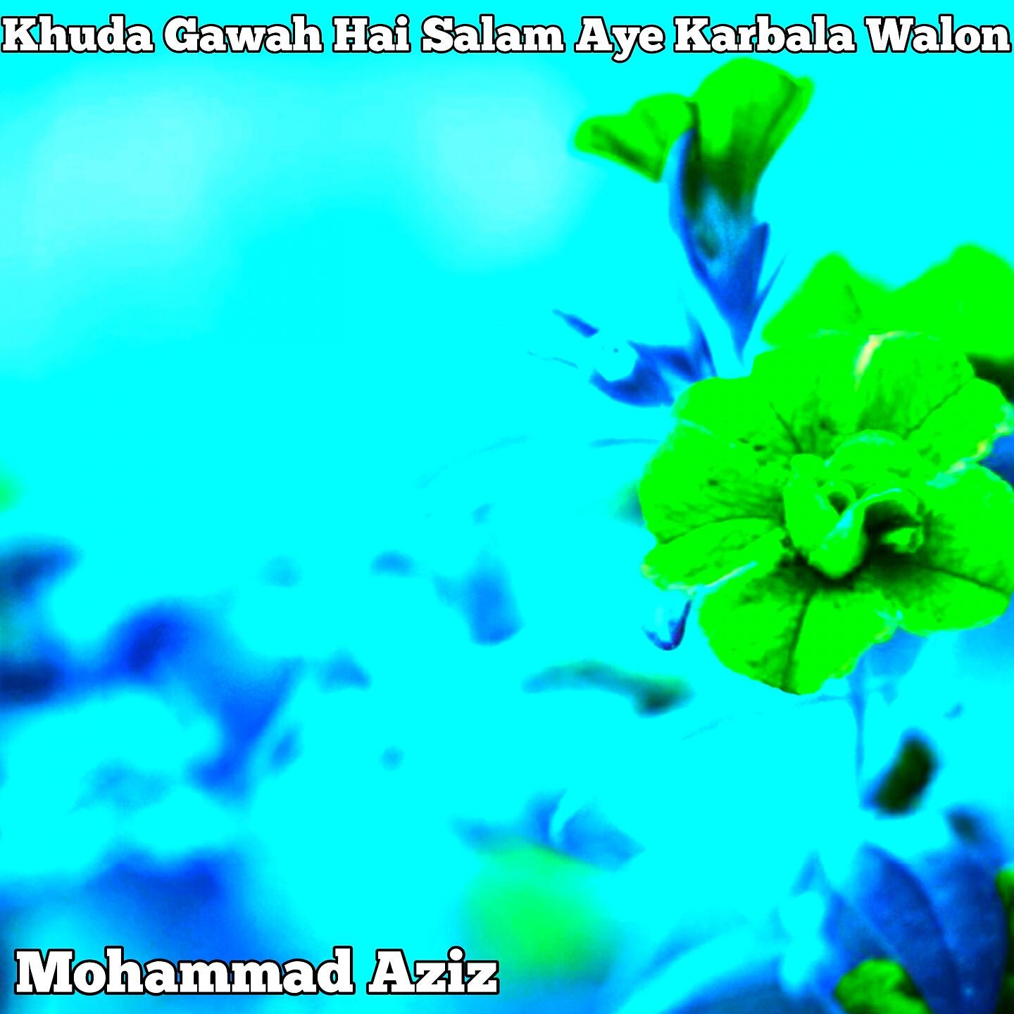 Mohammad Aziz - Khuda Gawah Hai Salam Aye Karbala Walon