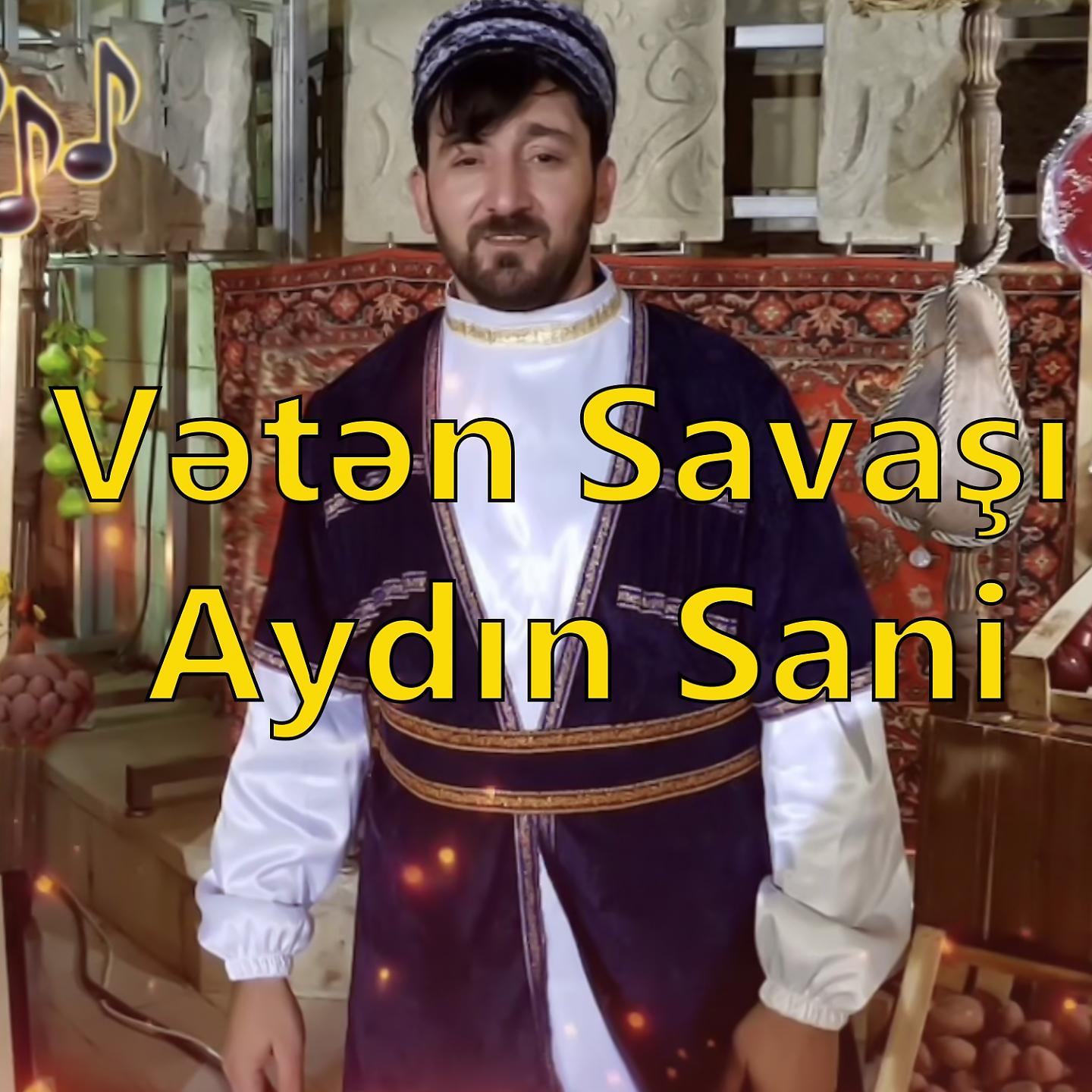 Постер альбома Vətən Savaşı