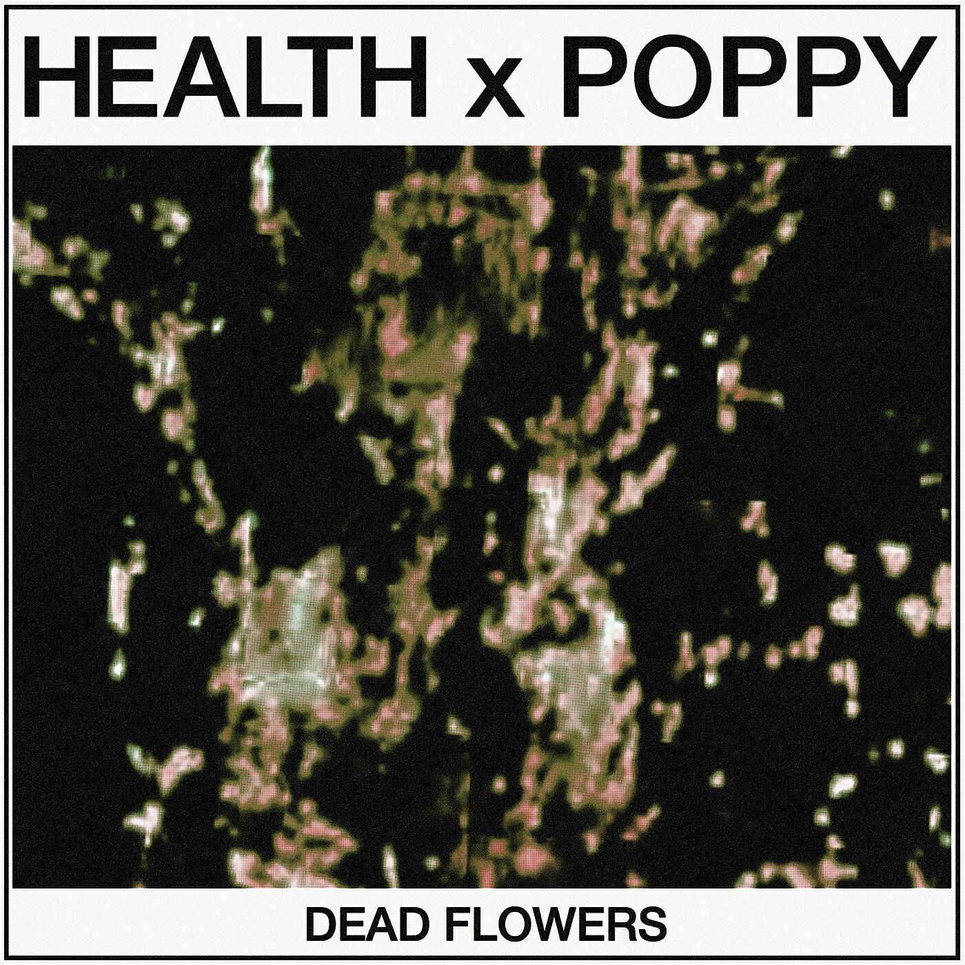 HEALTH - DEAD FLOWERS