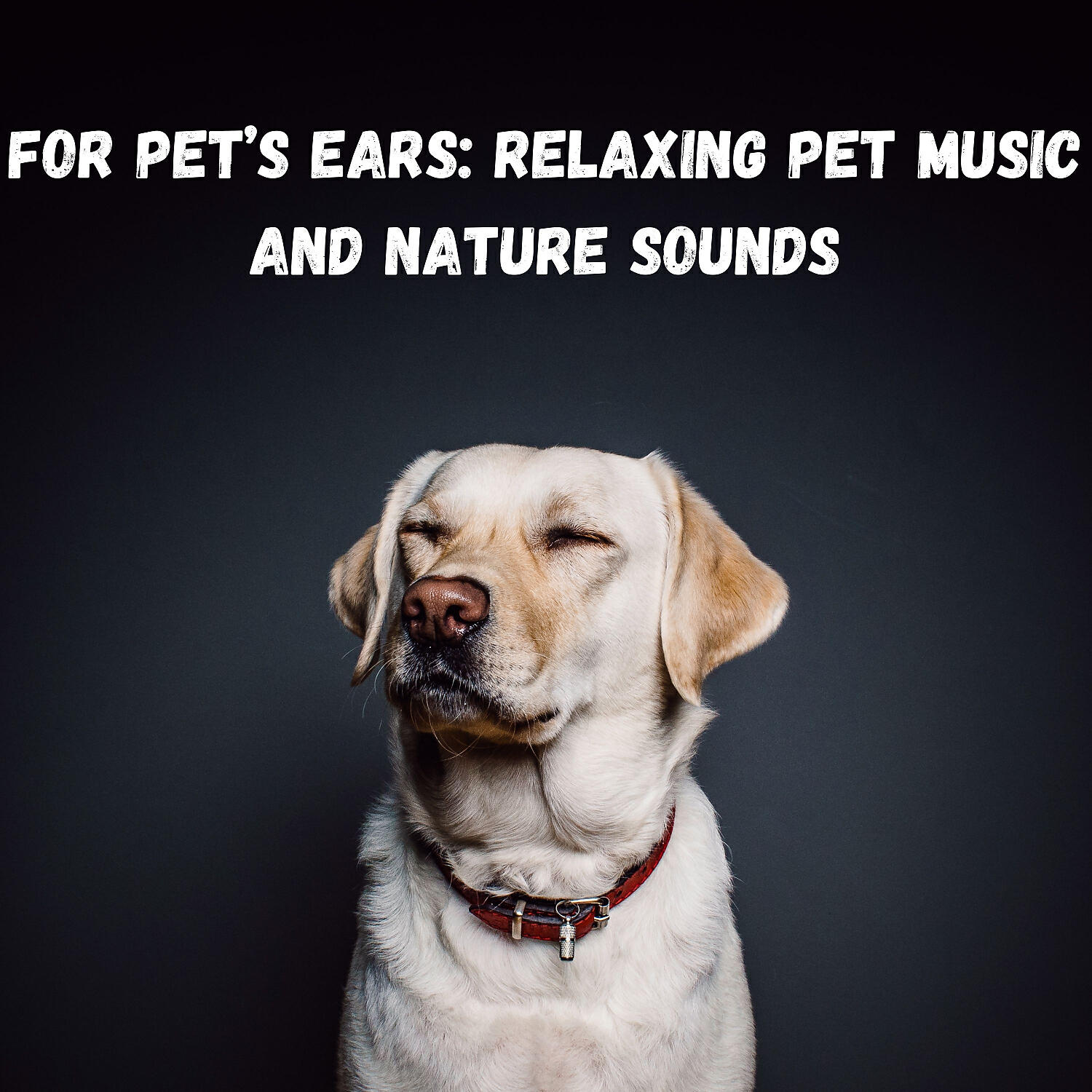Relaxing Guru - Brain waves while you sleep