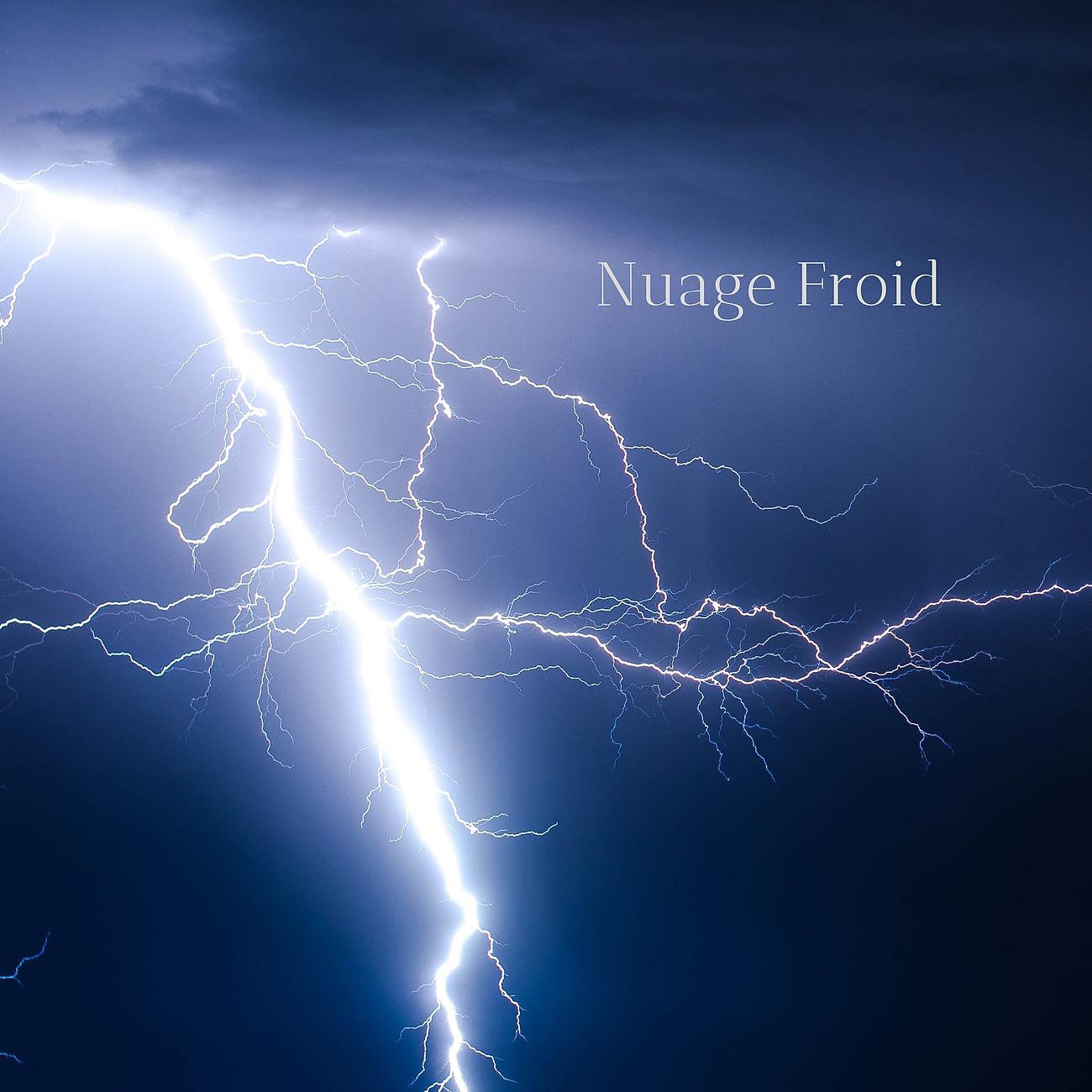 Постер альбома Nuage Froid