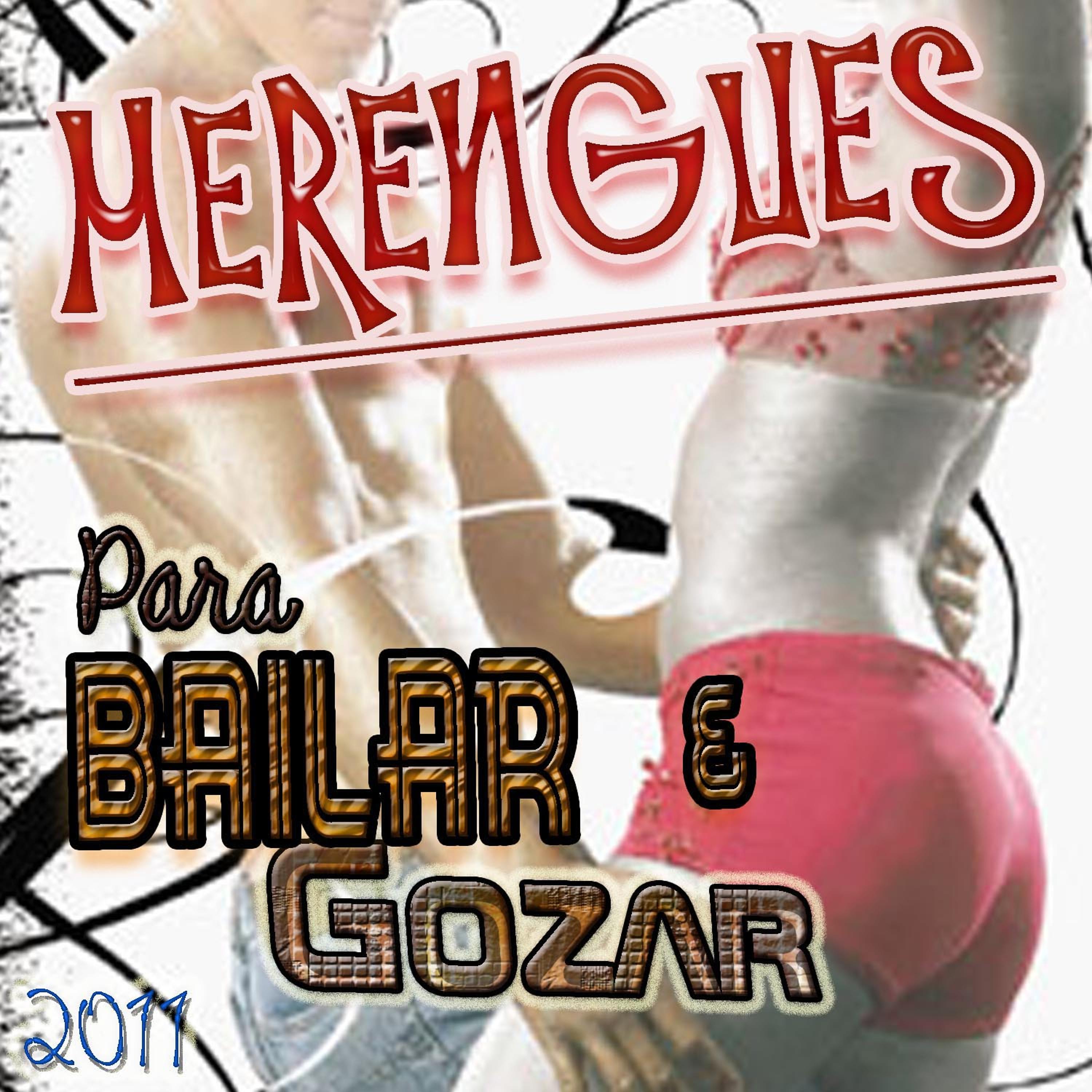 Постер альбома Merengues Para Bailar y Gozar (2011)