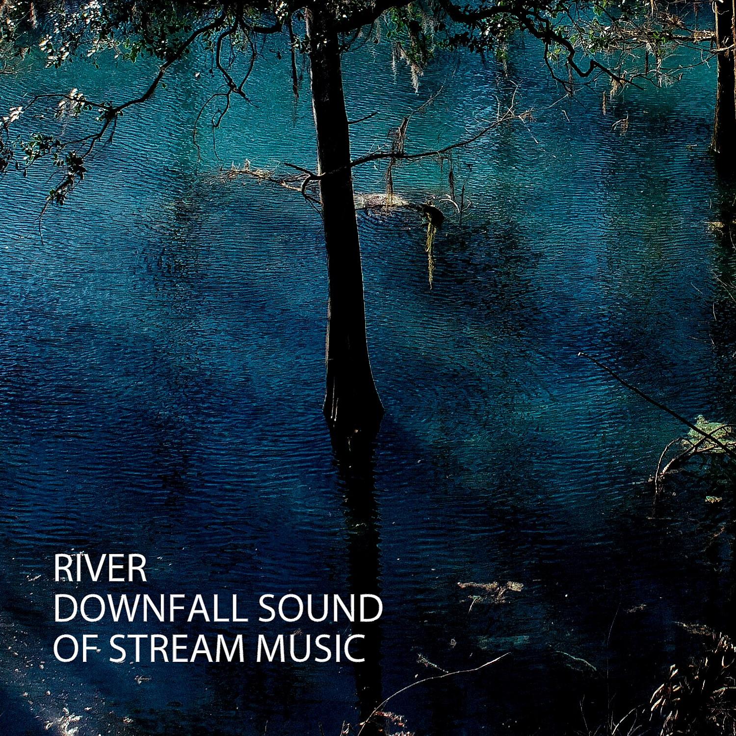 Постер альбома River: Downfall Sound Of Stream Music