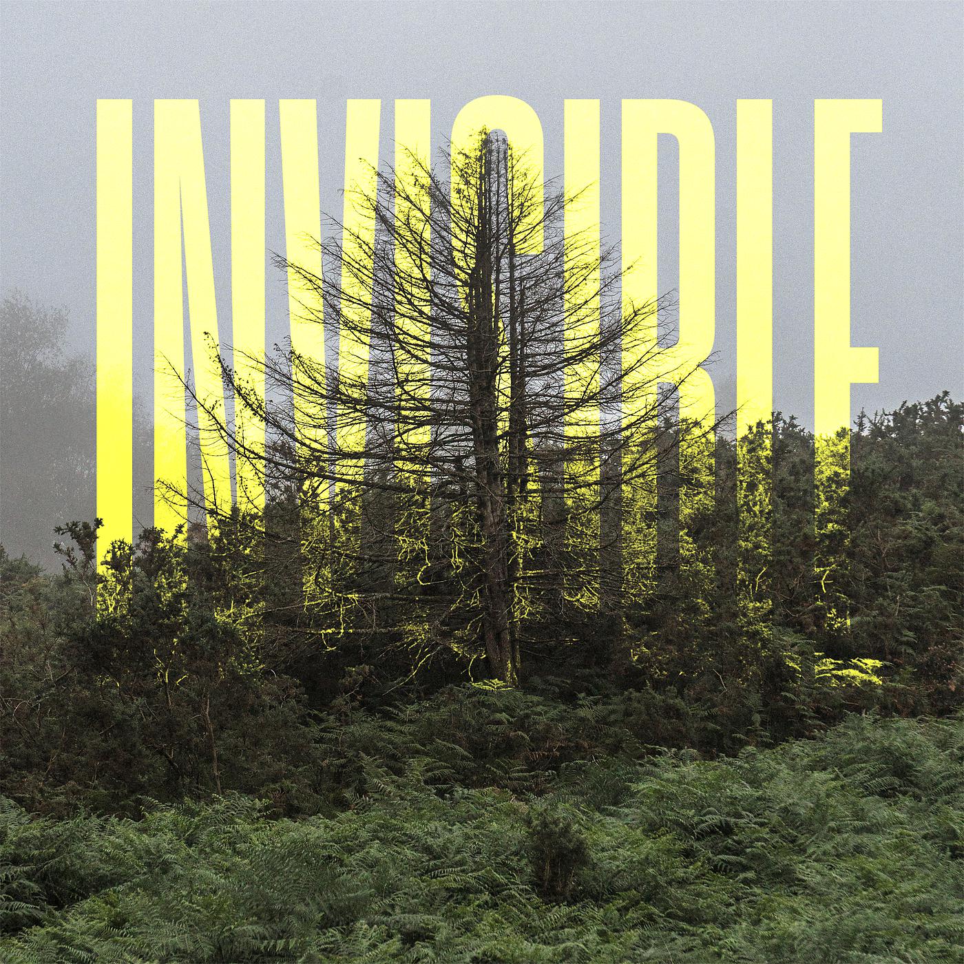 Постер альбома The Invisible EP
