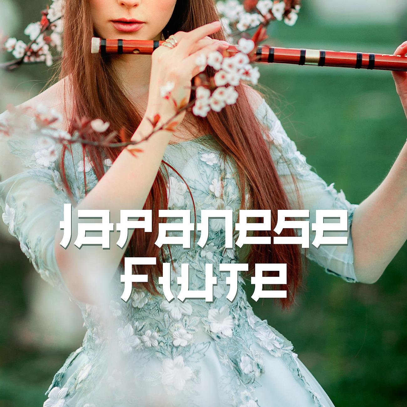 Постер альбома Japanese Flute