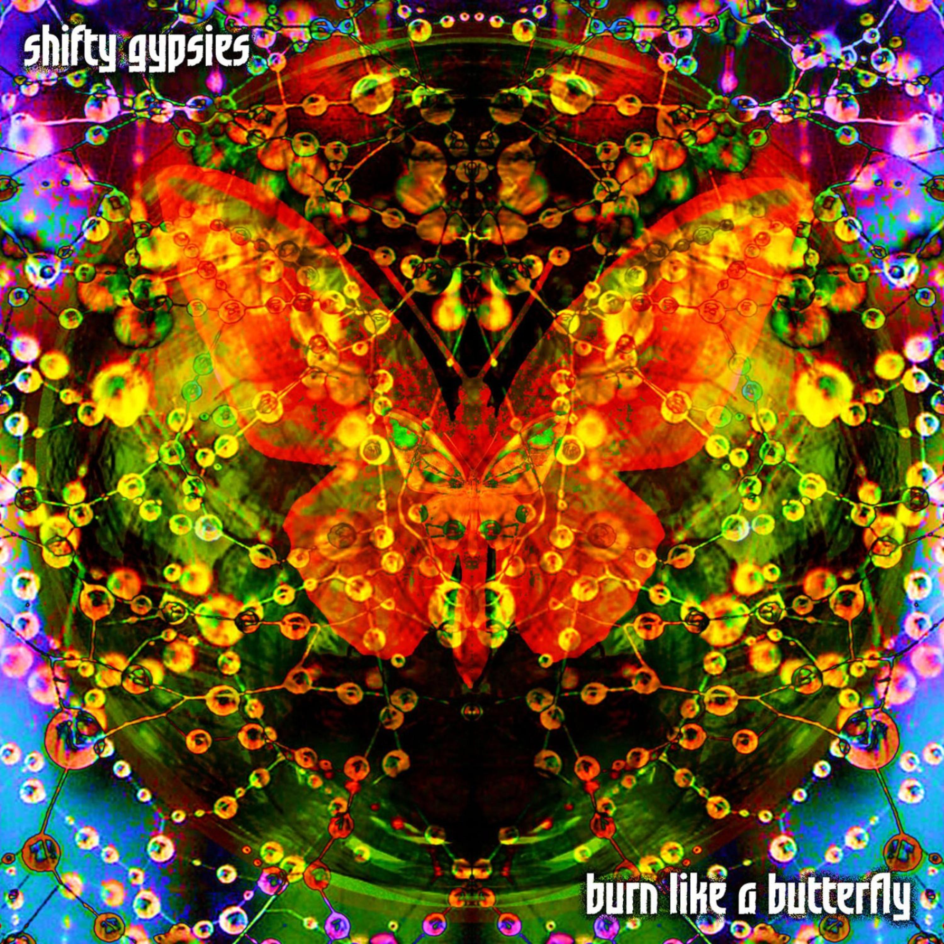 Постер альбома Burn Like A Butterfly