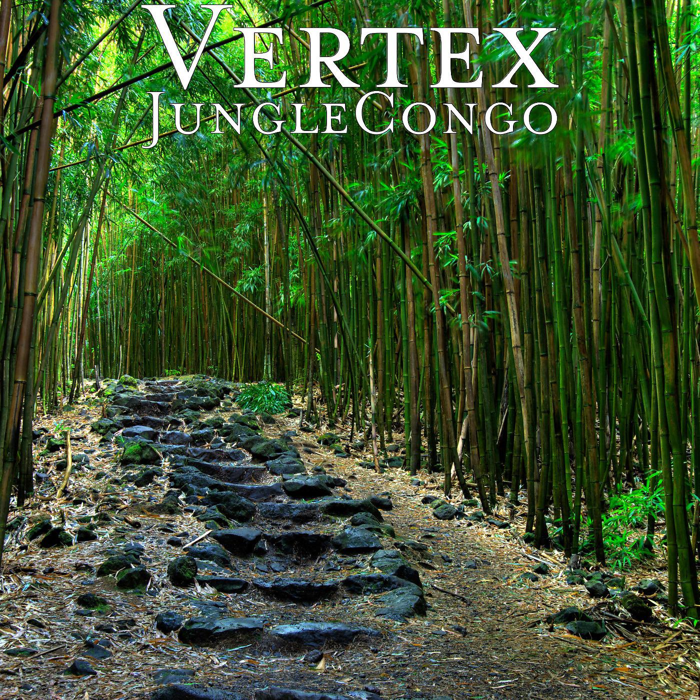 Постер альбома JungleCongo