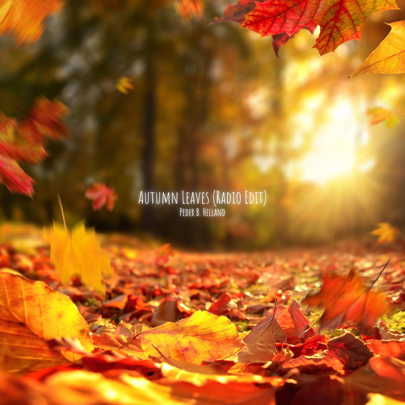 Постер альбома Autumn Leaves (Radio Edit)