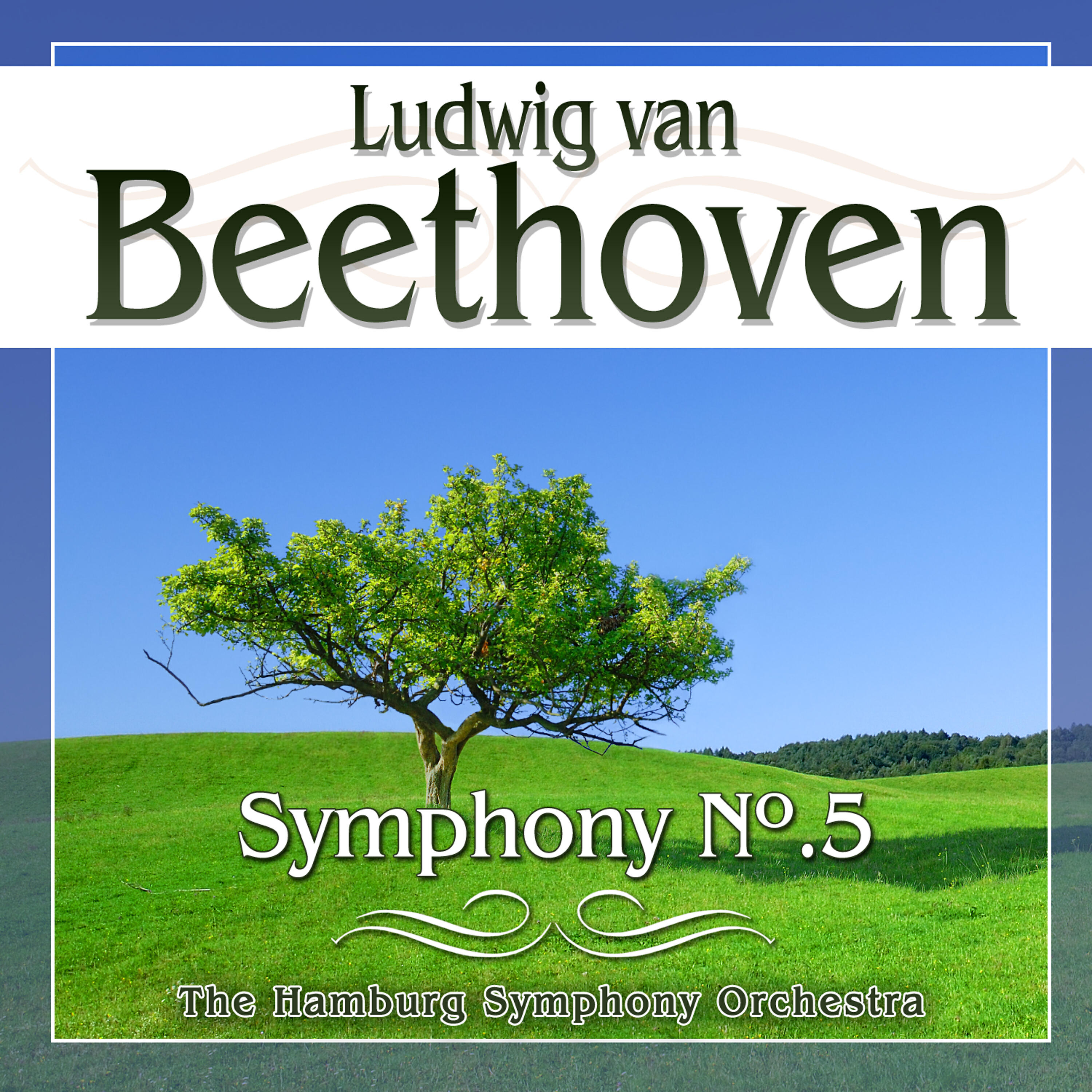 The Hamburg Symphony Orchestra - Symphony No.5 in C Minor, Op.67 