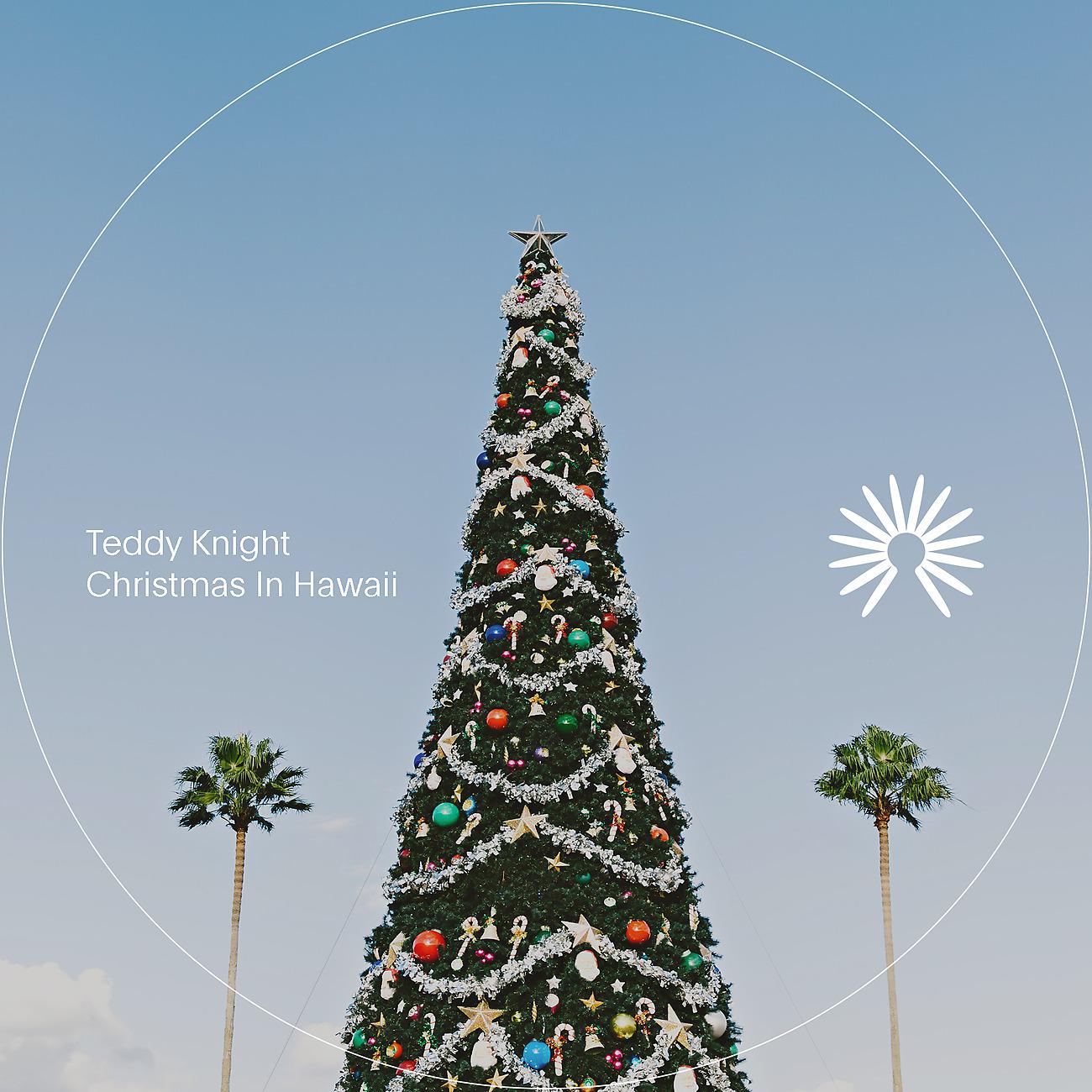 Постер альбома Christmas in Hawaii