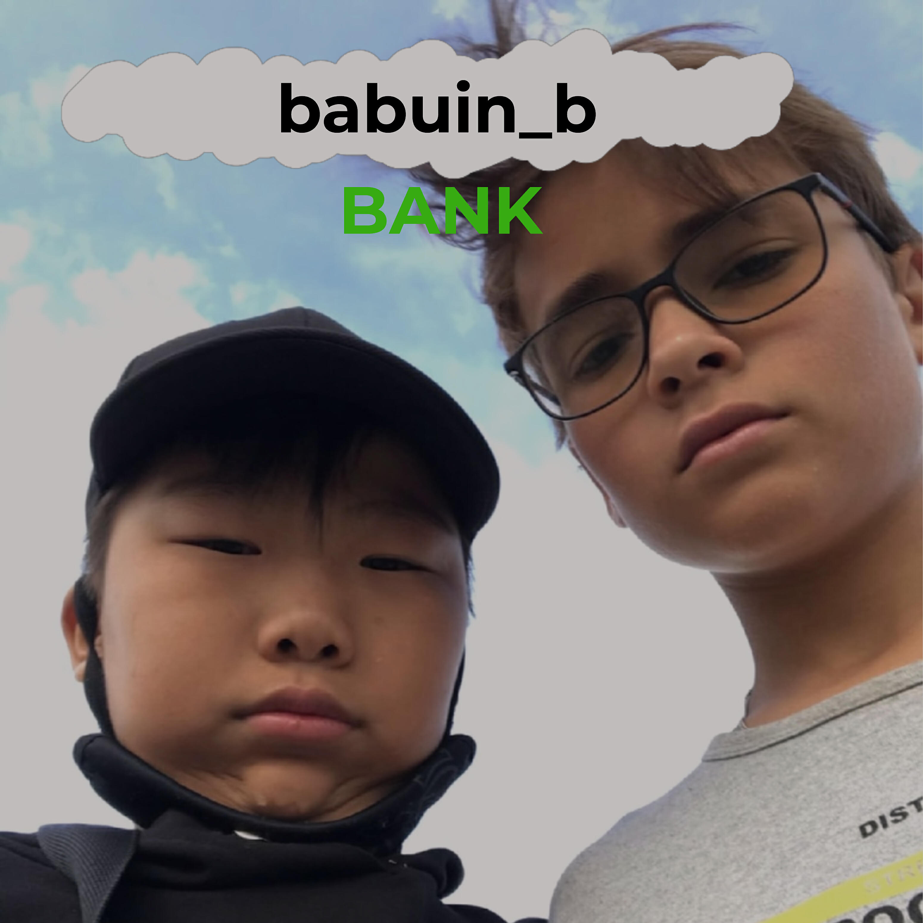 babuin_b - Bank