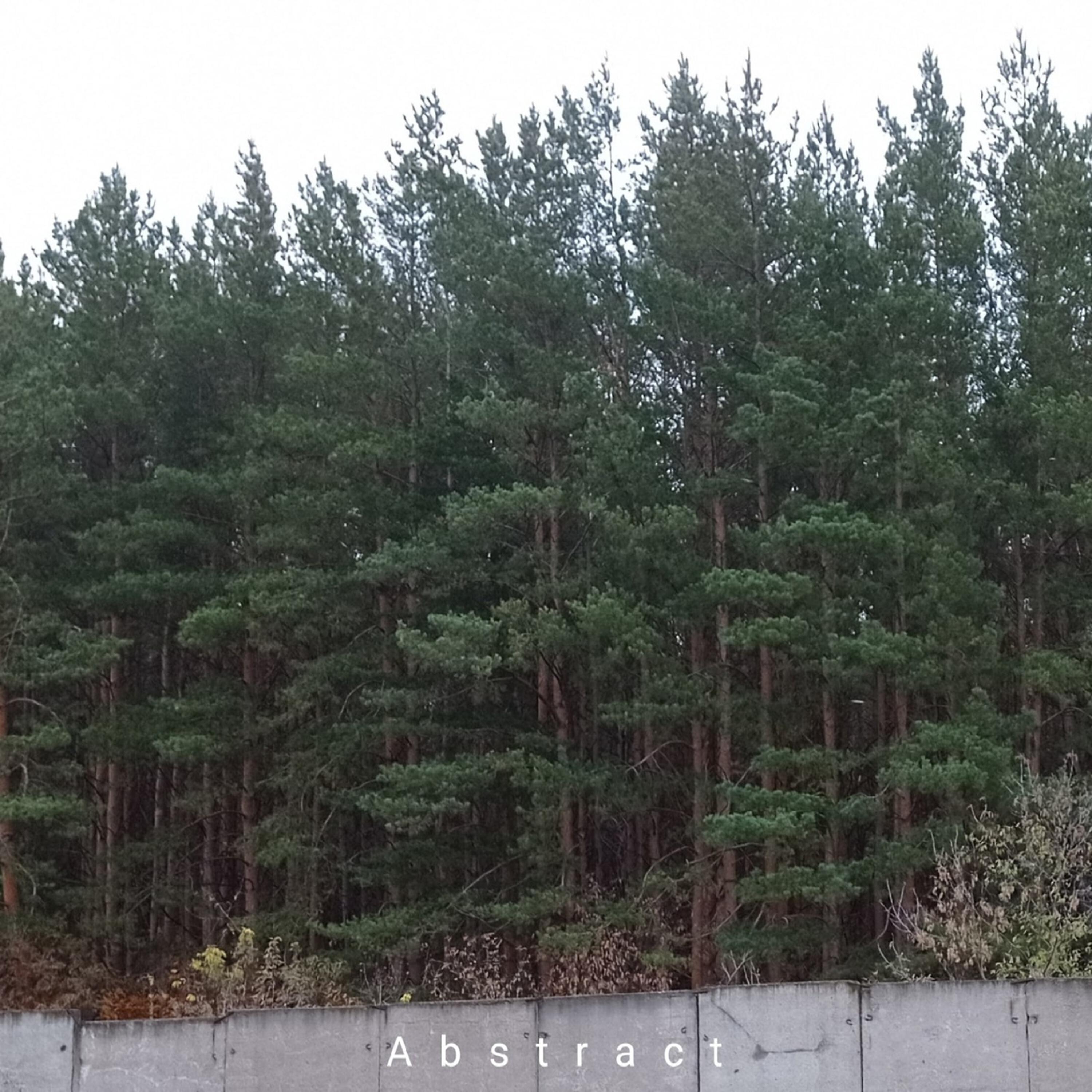 Saud Boy - Abstract
