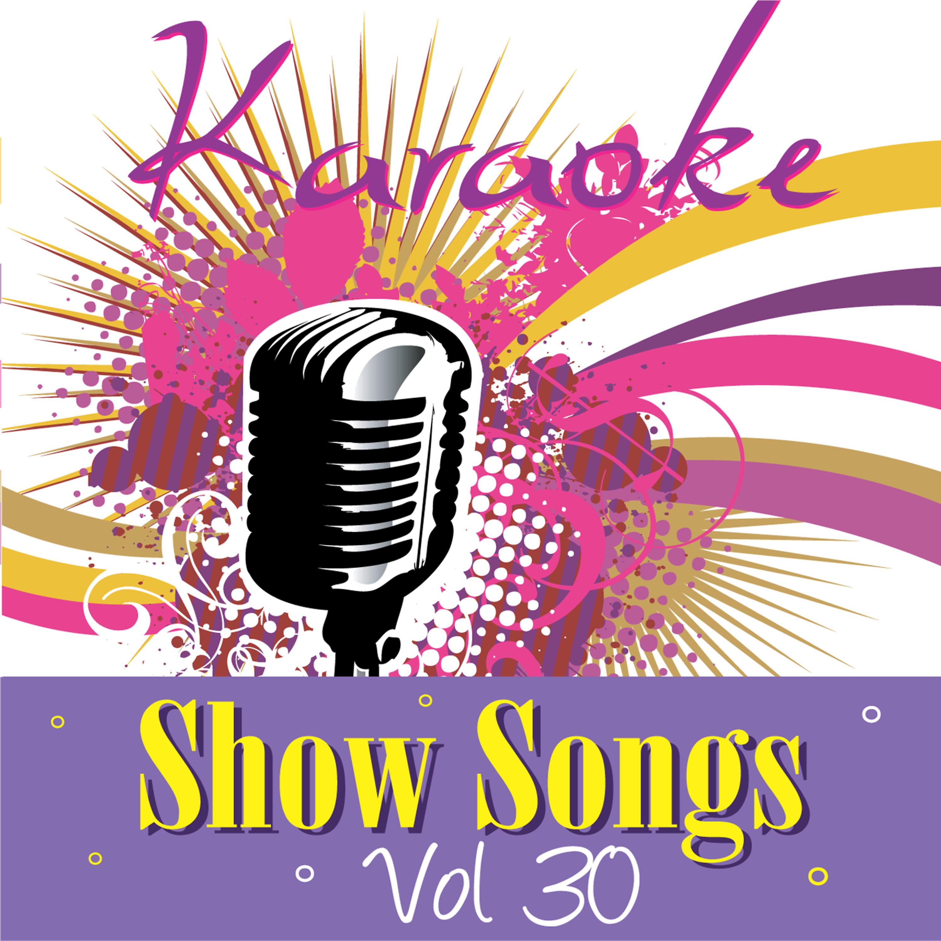 Постер альбома Karaoke - Show Songs Vol.30
