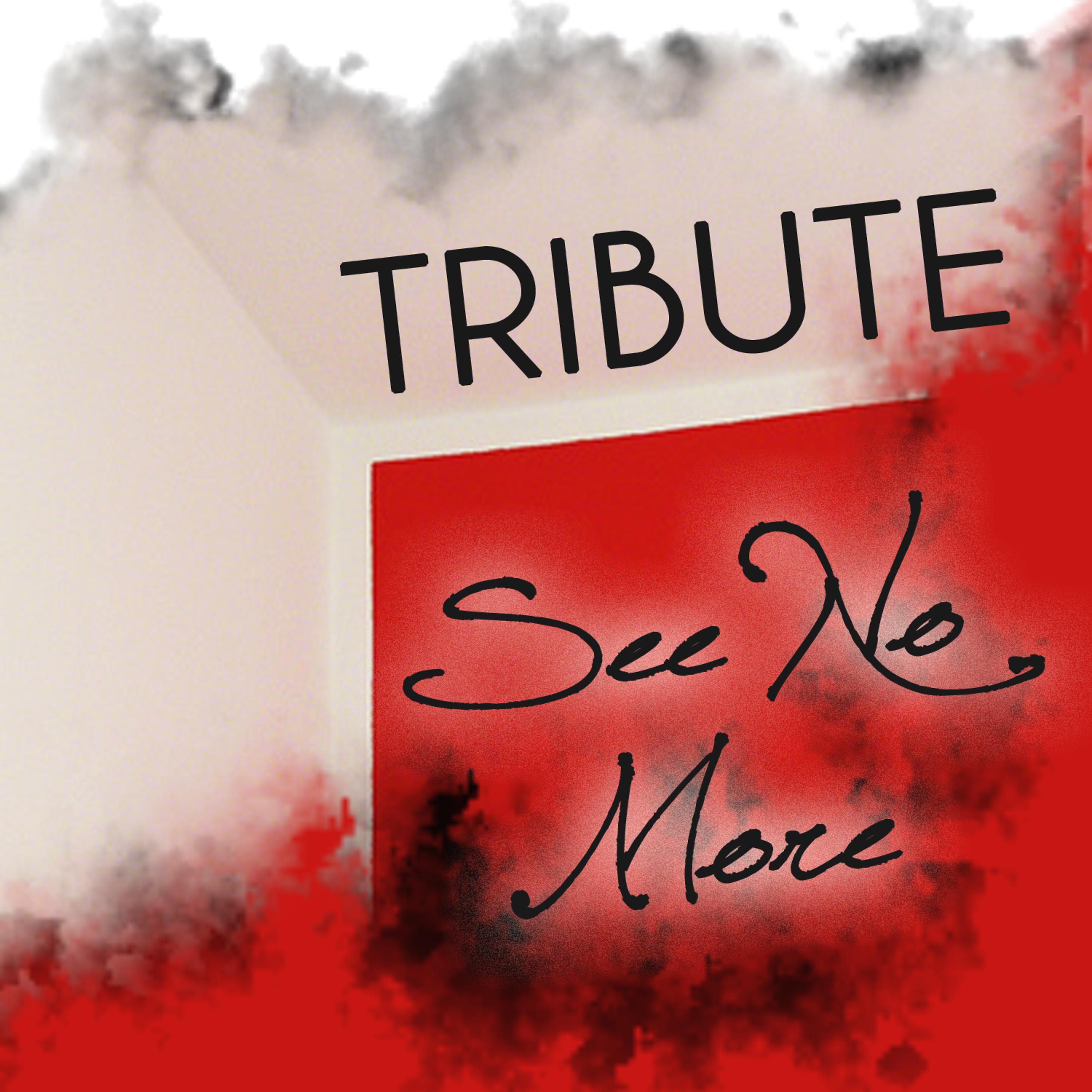 Постер альбома See No More (Joe Jonas Tribute) - Single