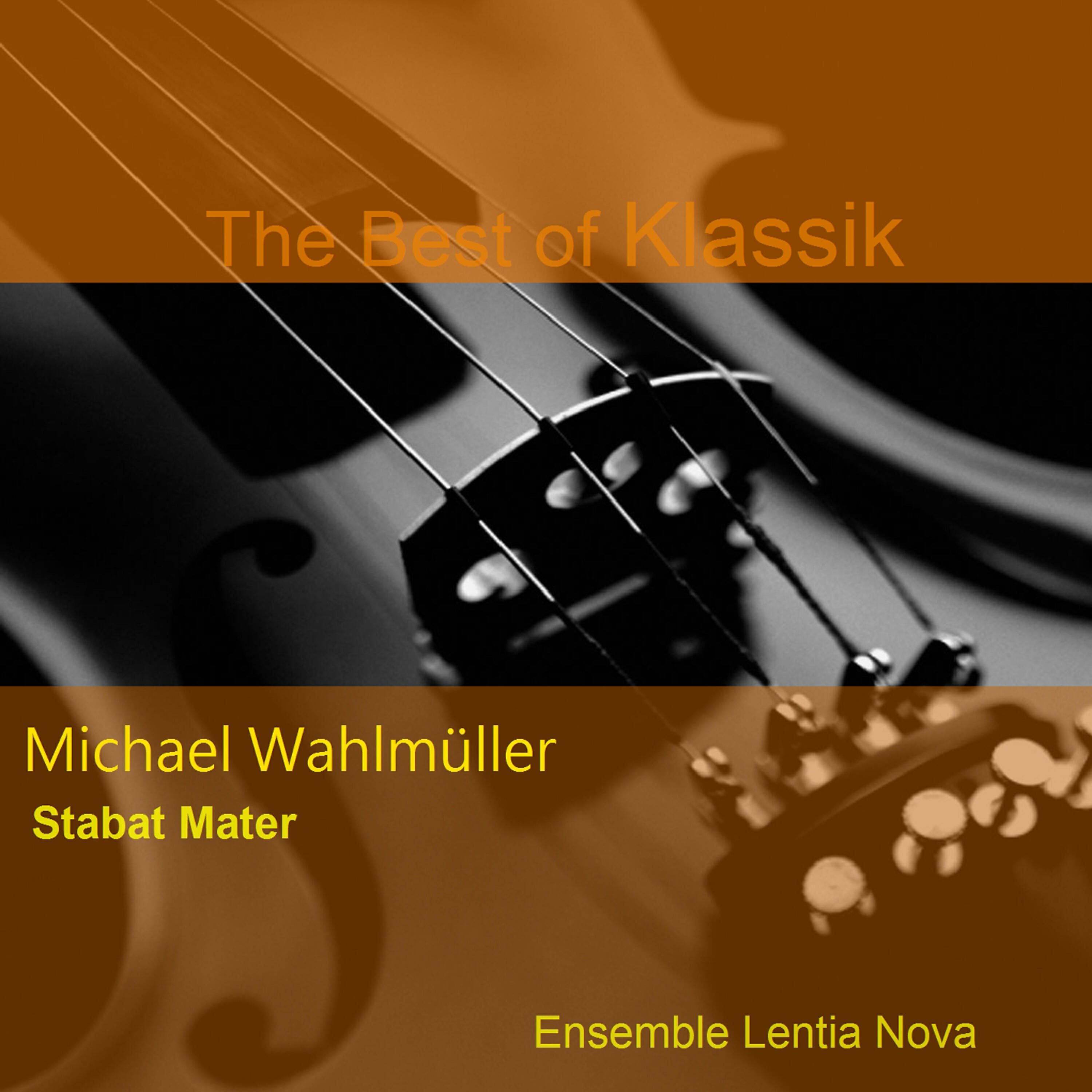 Wahlmüller Michael - Fac ut ardeat
