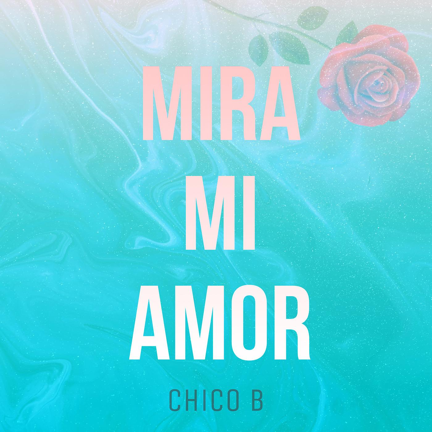 Постер альбома Mira Mi Amor