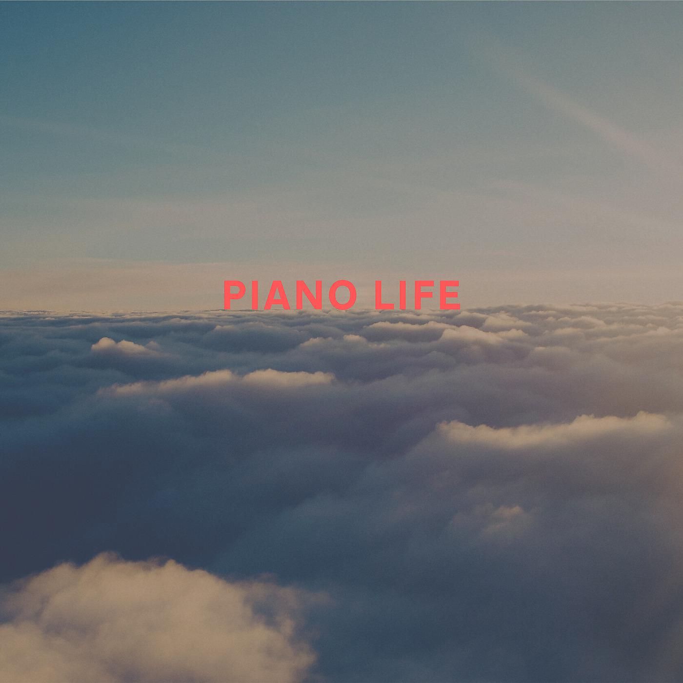 Постер альбома Piano Life