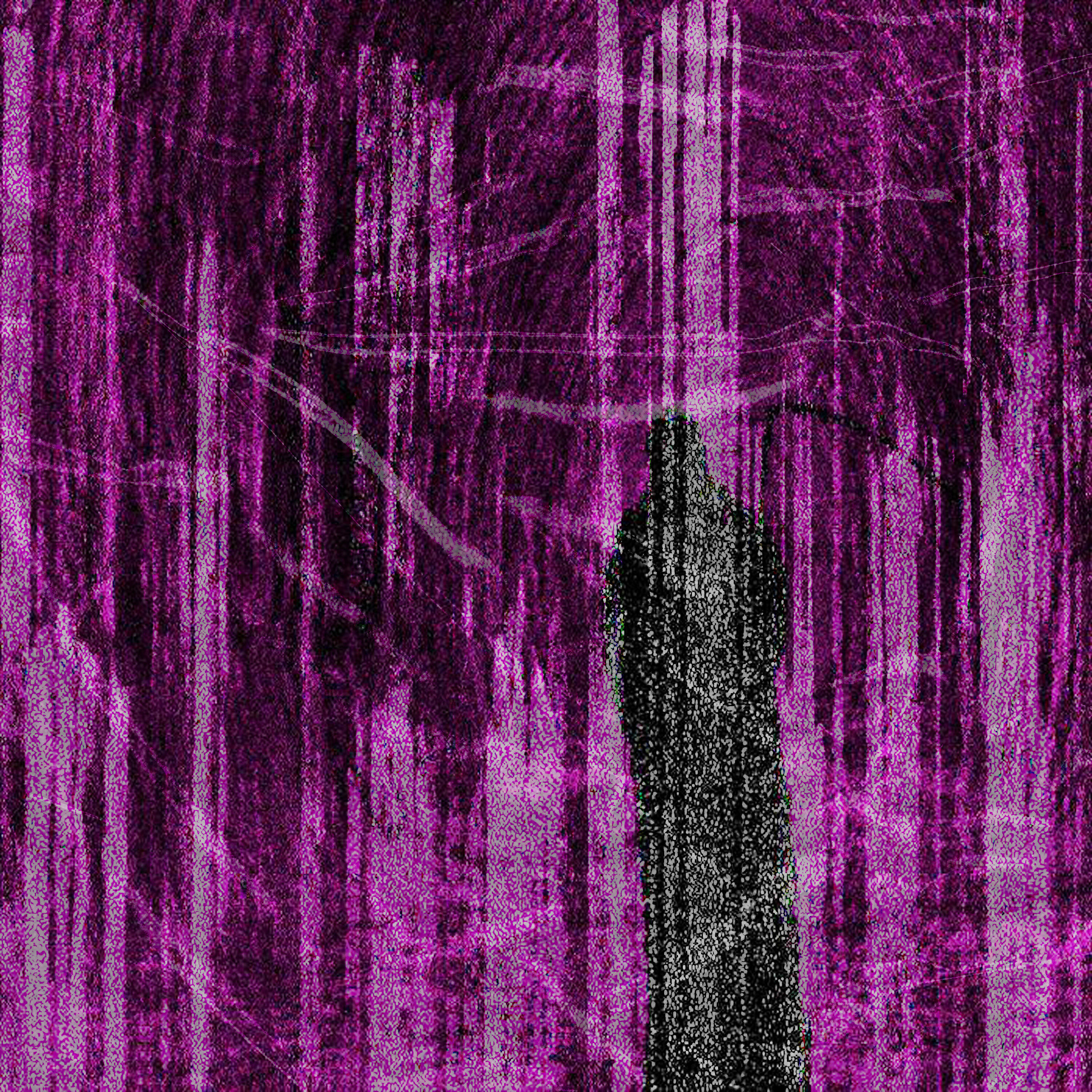 OBC9LHKA - Big Bass