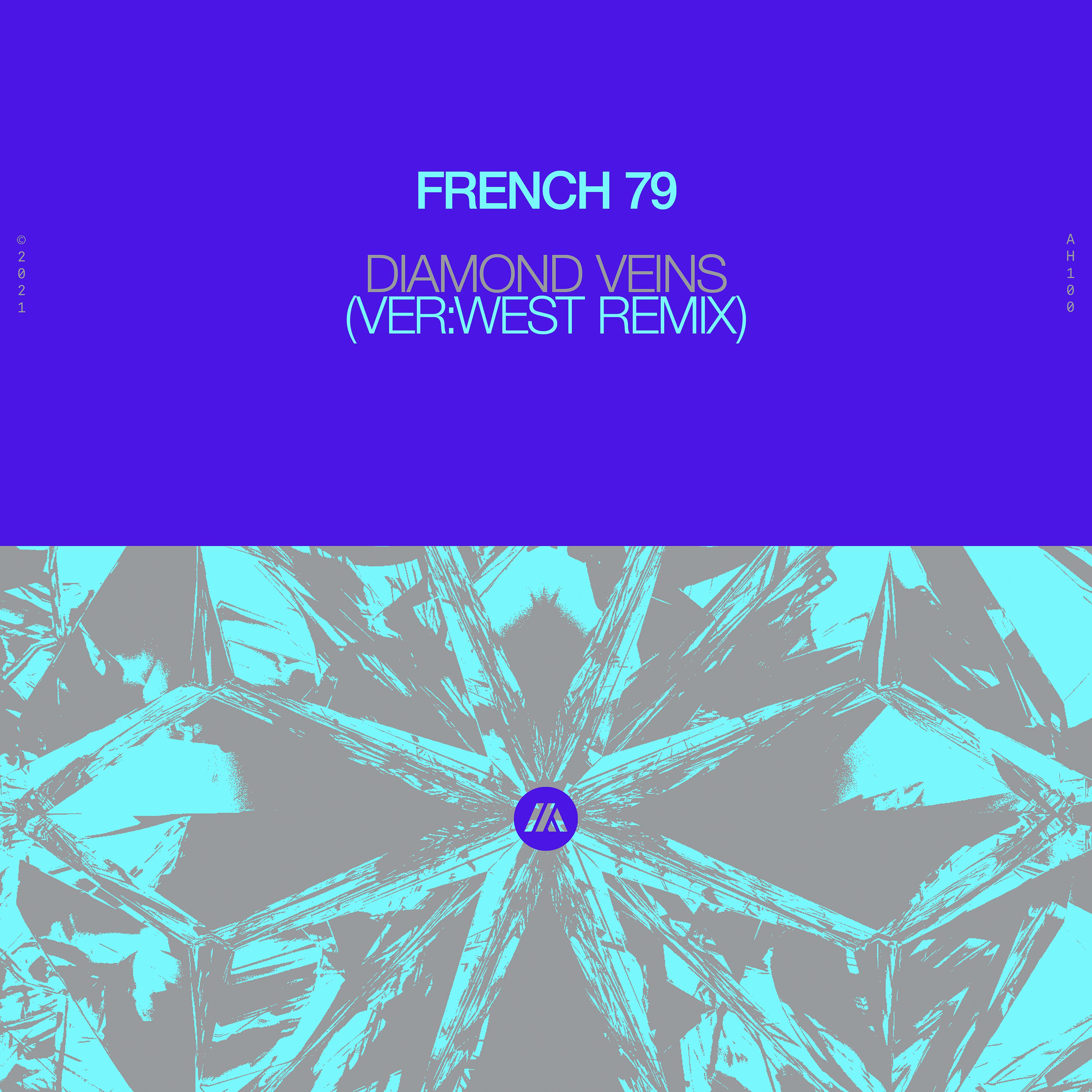 Постер альбома Diamond Veins (VER:WEST, Tiësto Remix)
