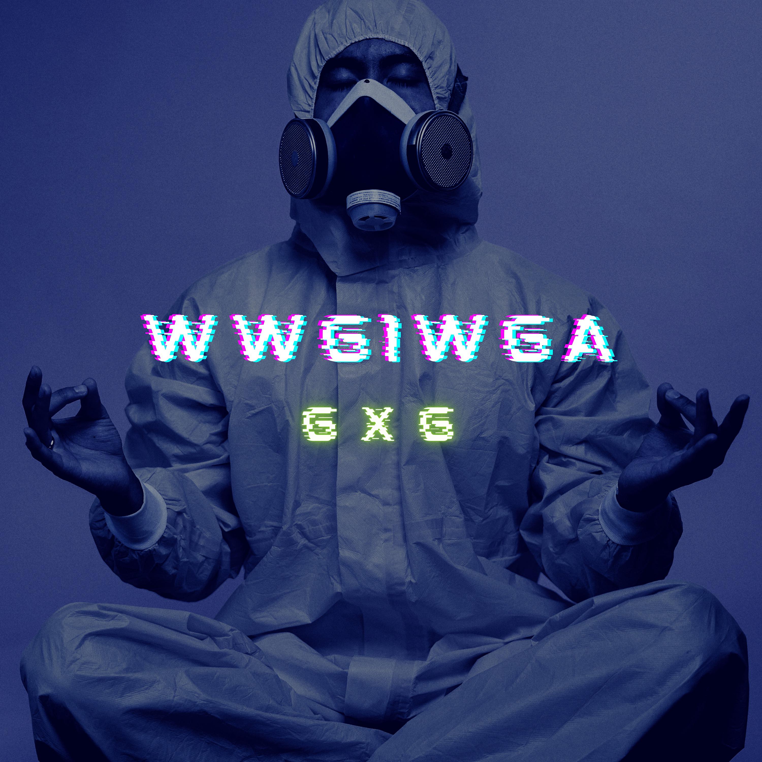 Постер альбома WWG1WGA