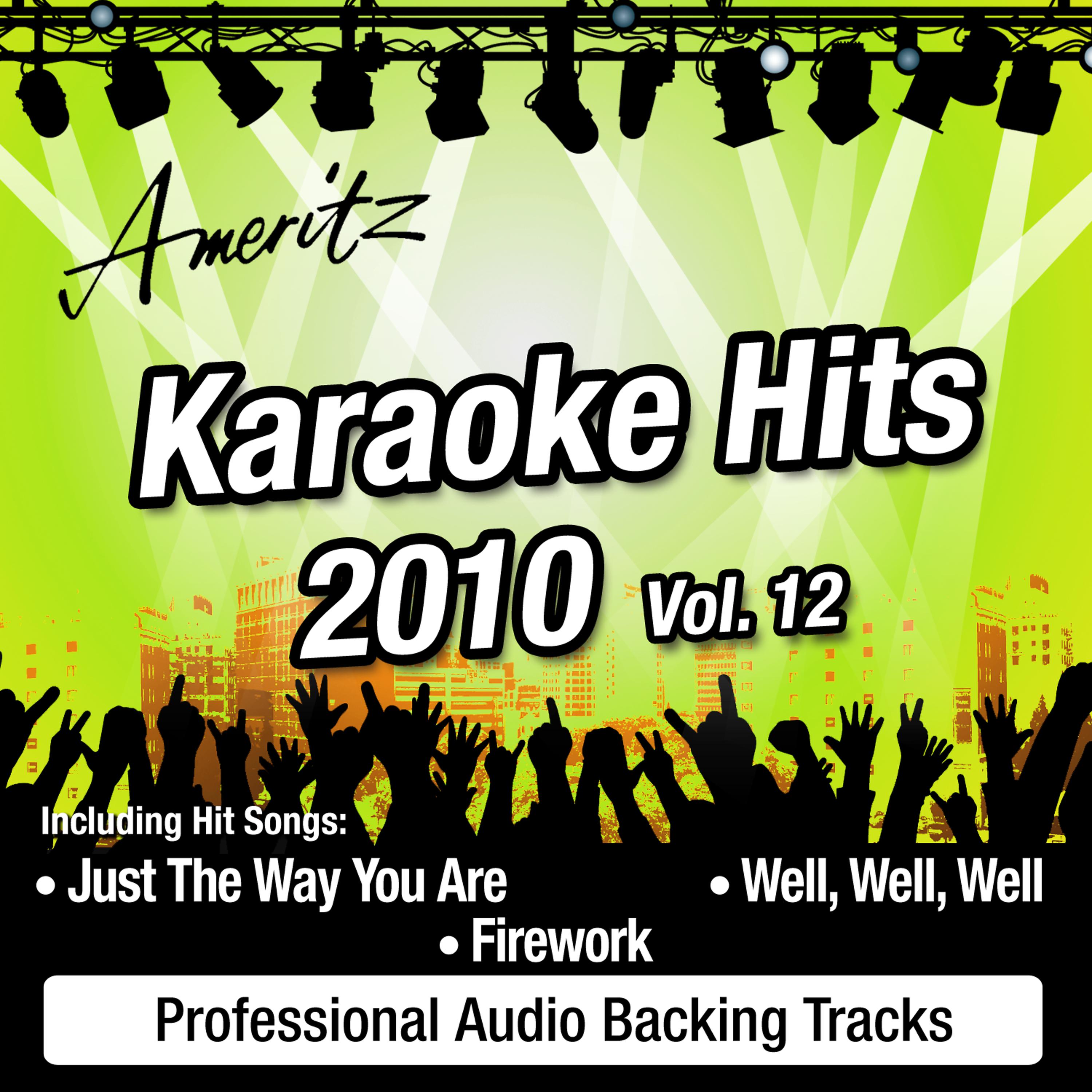 Постер альбома Karaoke Hits 2010 Vol. 12