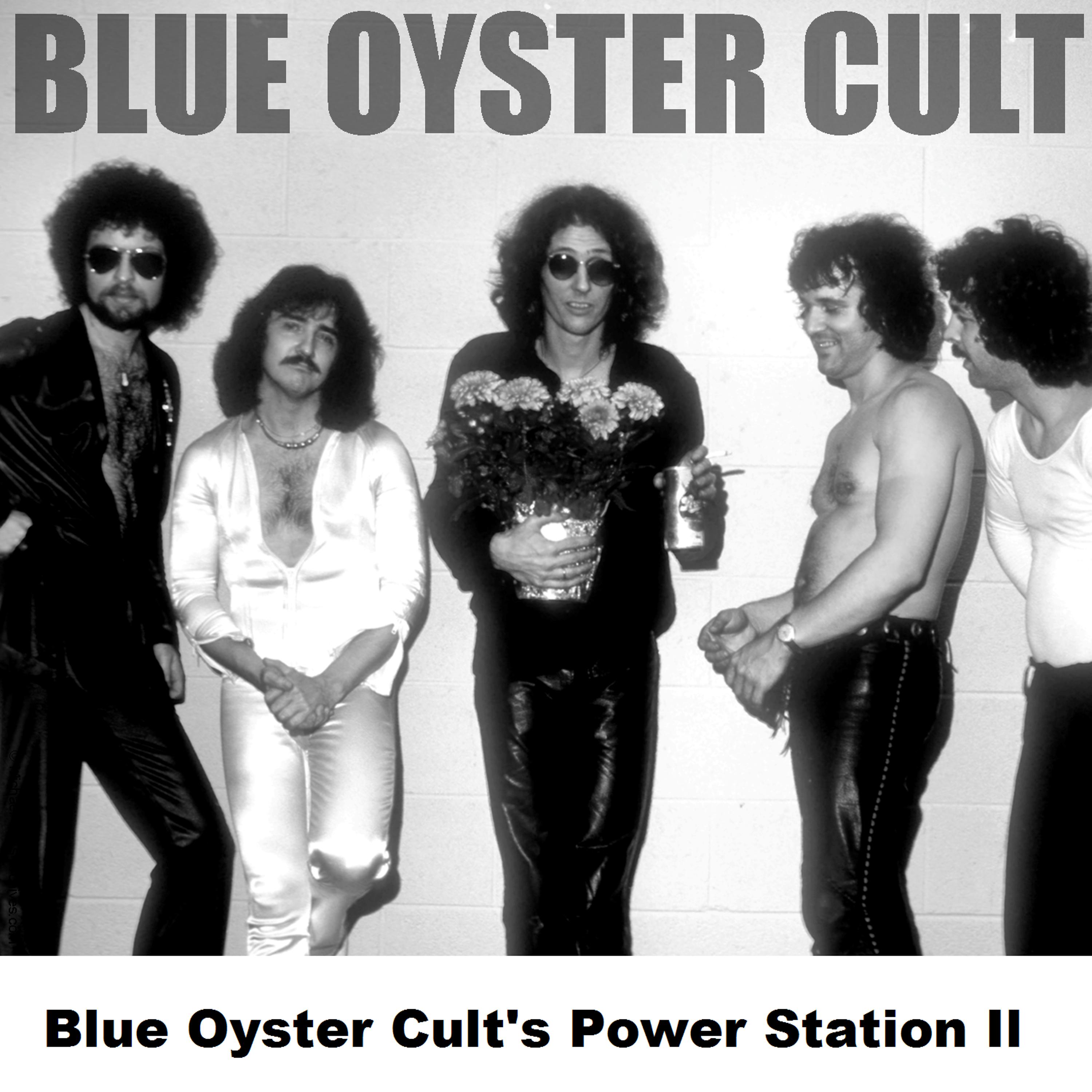 Постер альбома Blue Oyster Cult's Power Station II