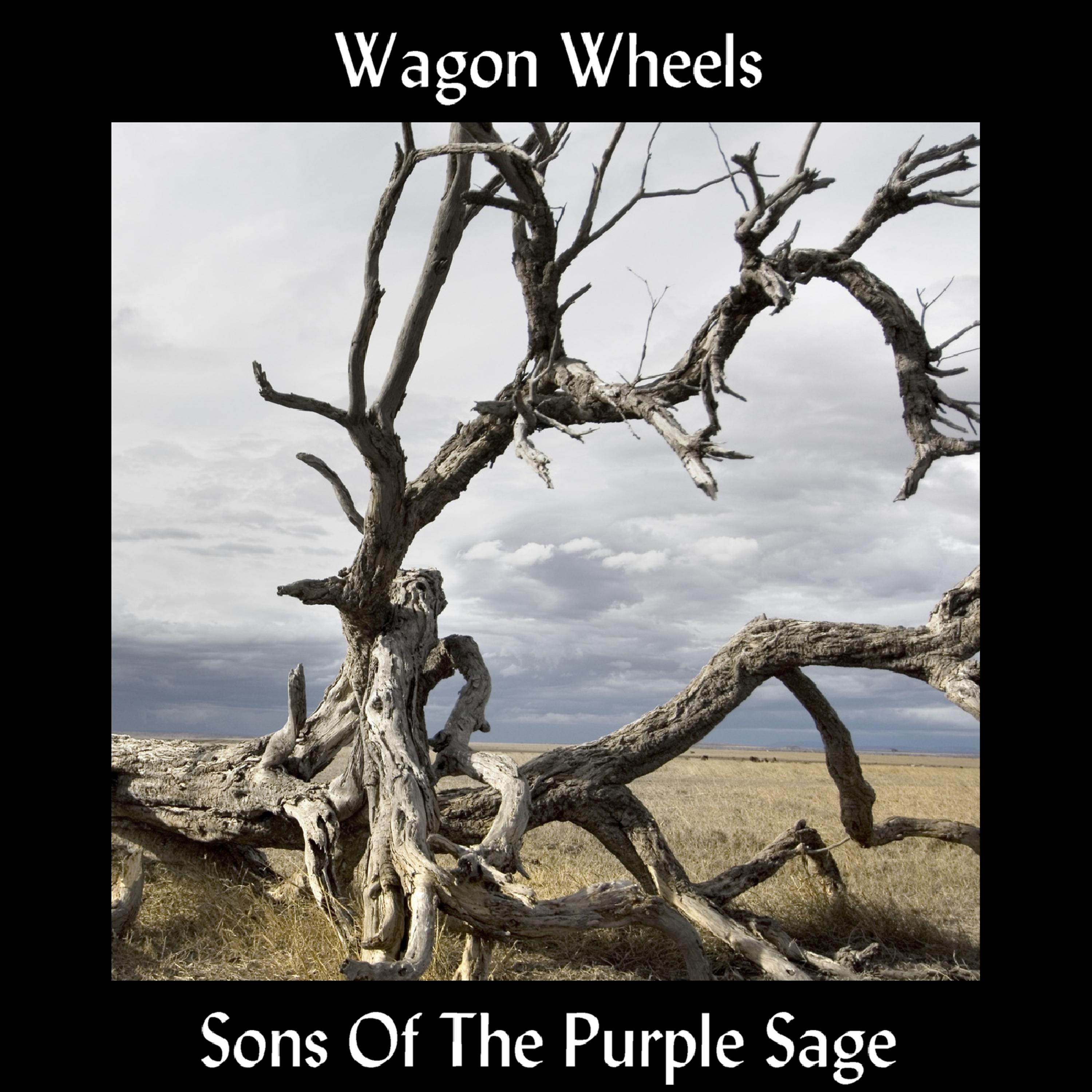 Постер альбома Wagon Wheels