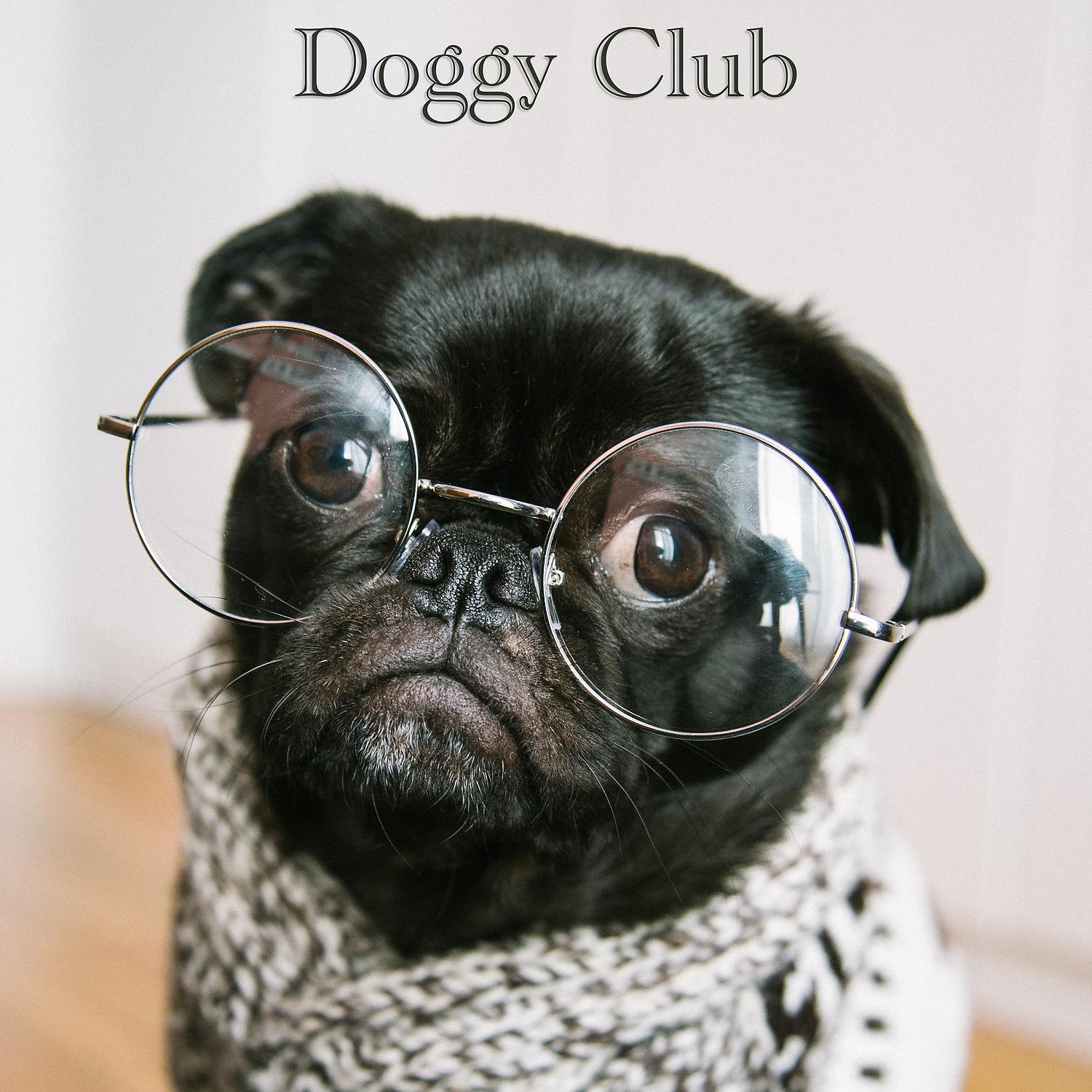 Постер альбома Doggy Club