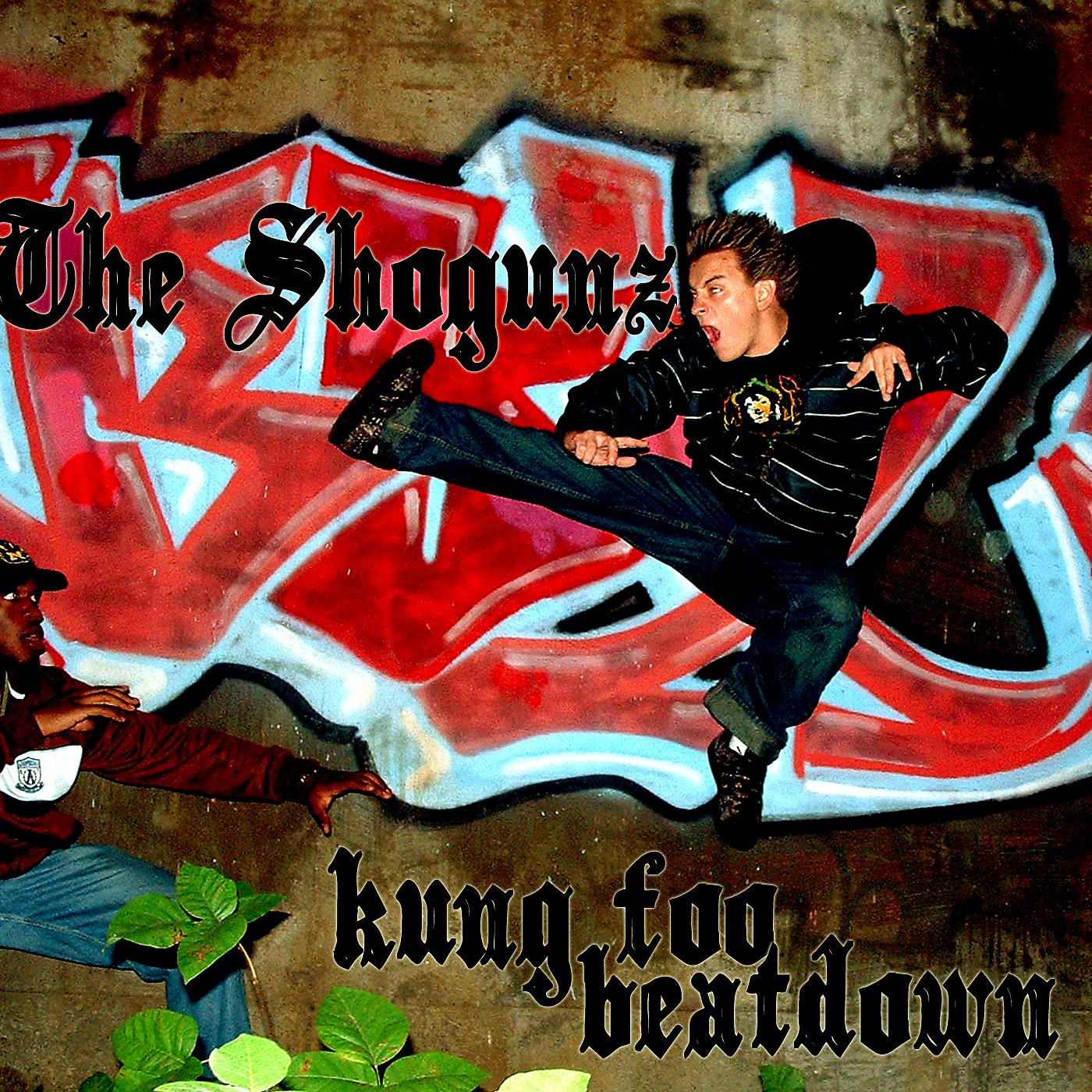 Постер альбома Kung Foo Beatdown