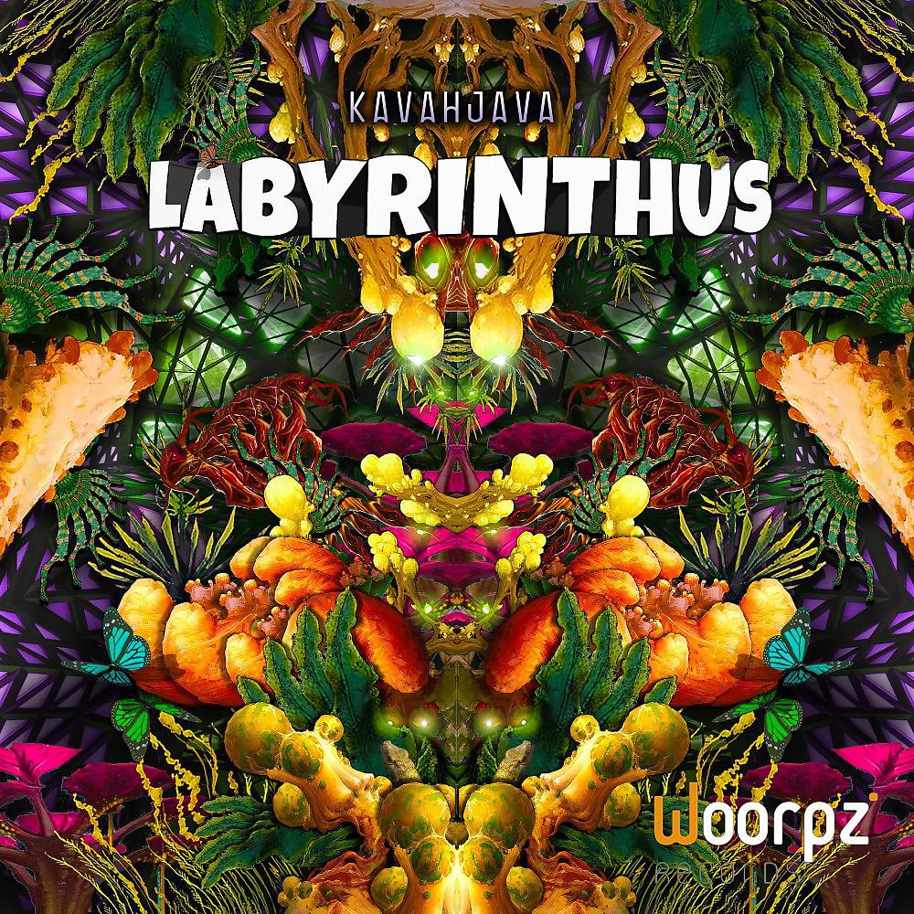 Постер альбома Labyrinthus