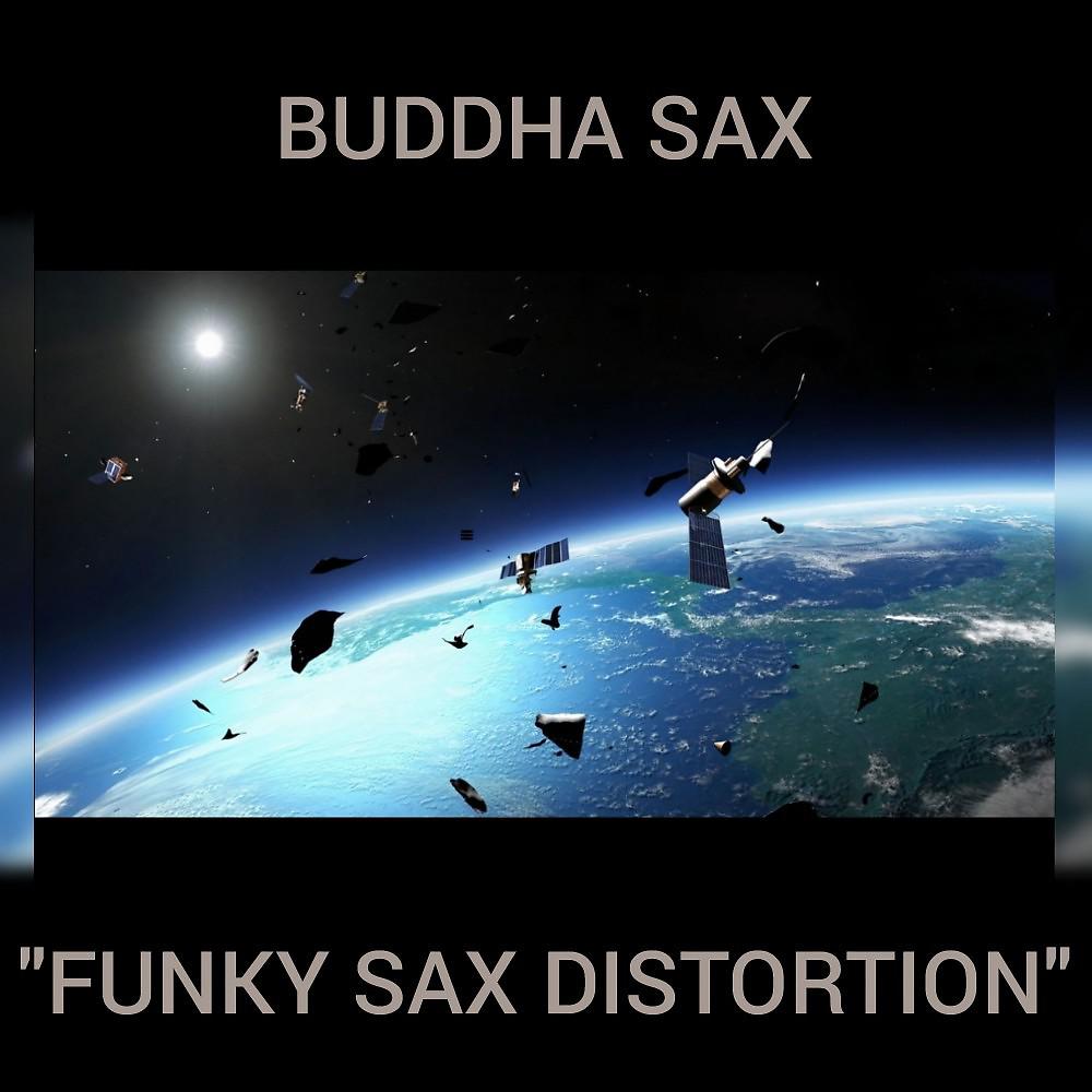 Постер альбома Funky Sax Distortion