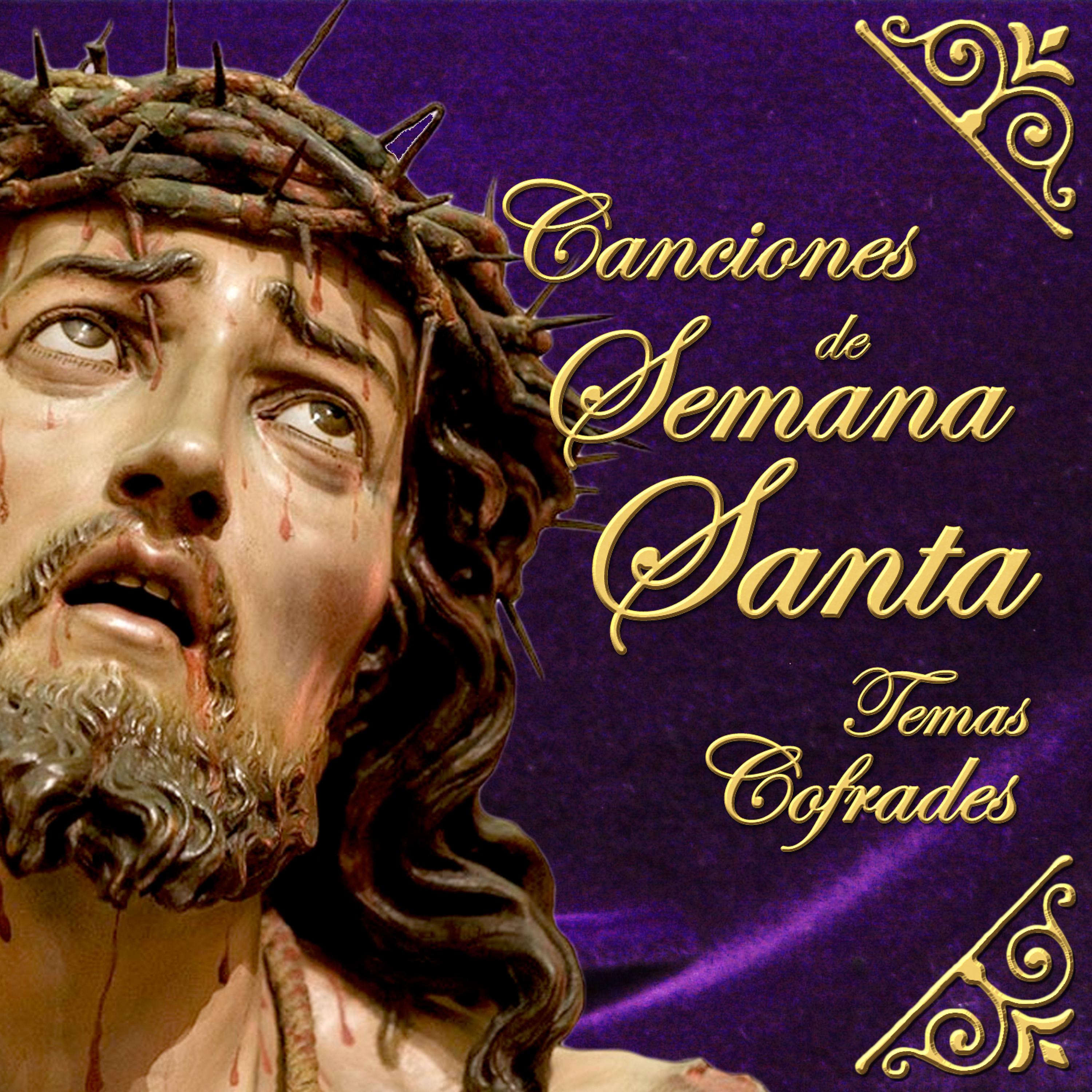 Постер альбома Canciones de Semana Santa. Temas Cofrades
